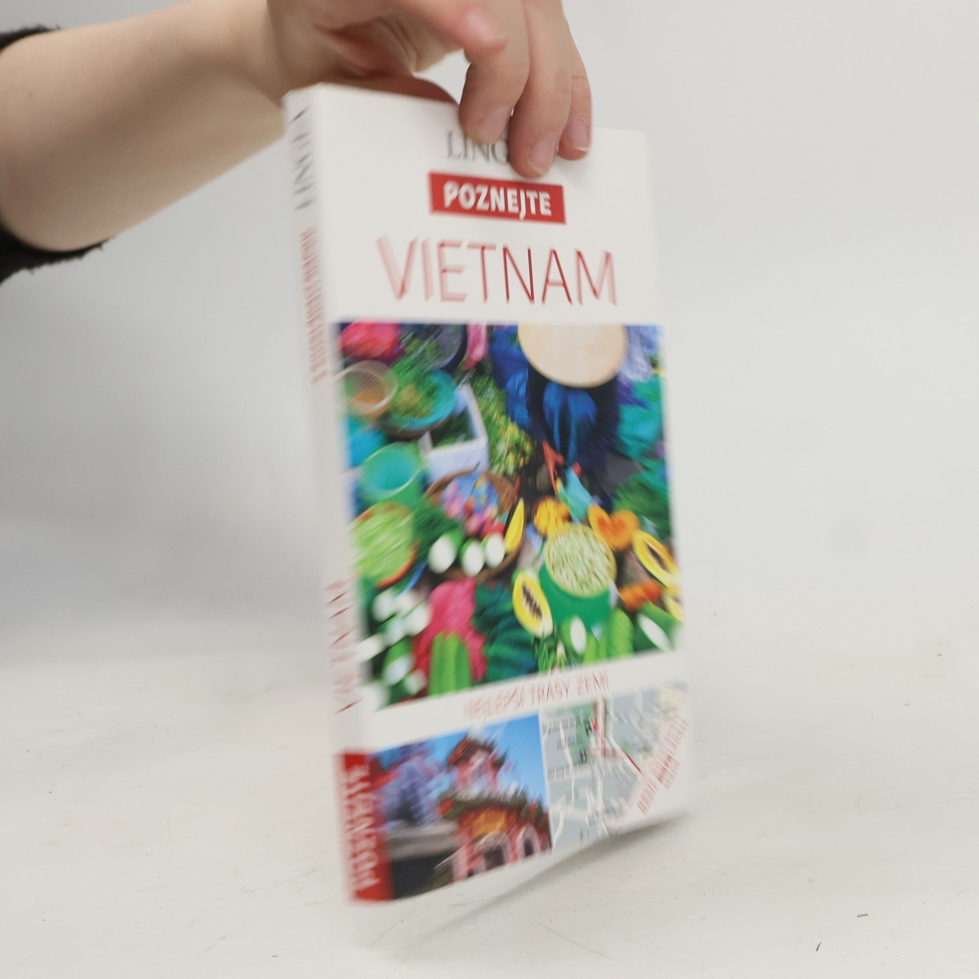 Autorenkollektiv Vietnam
