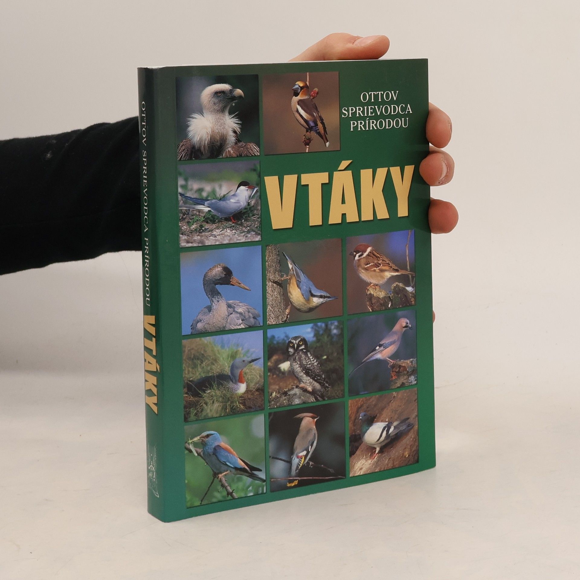 Vtáky