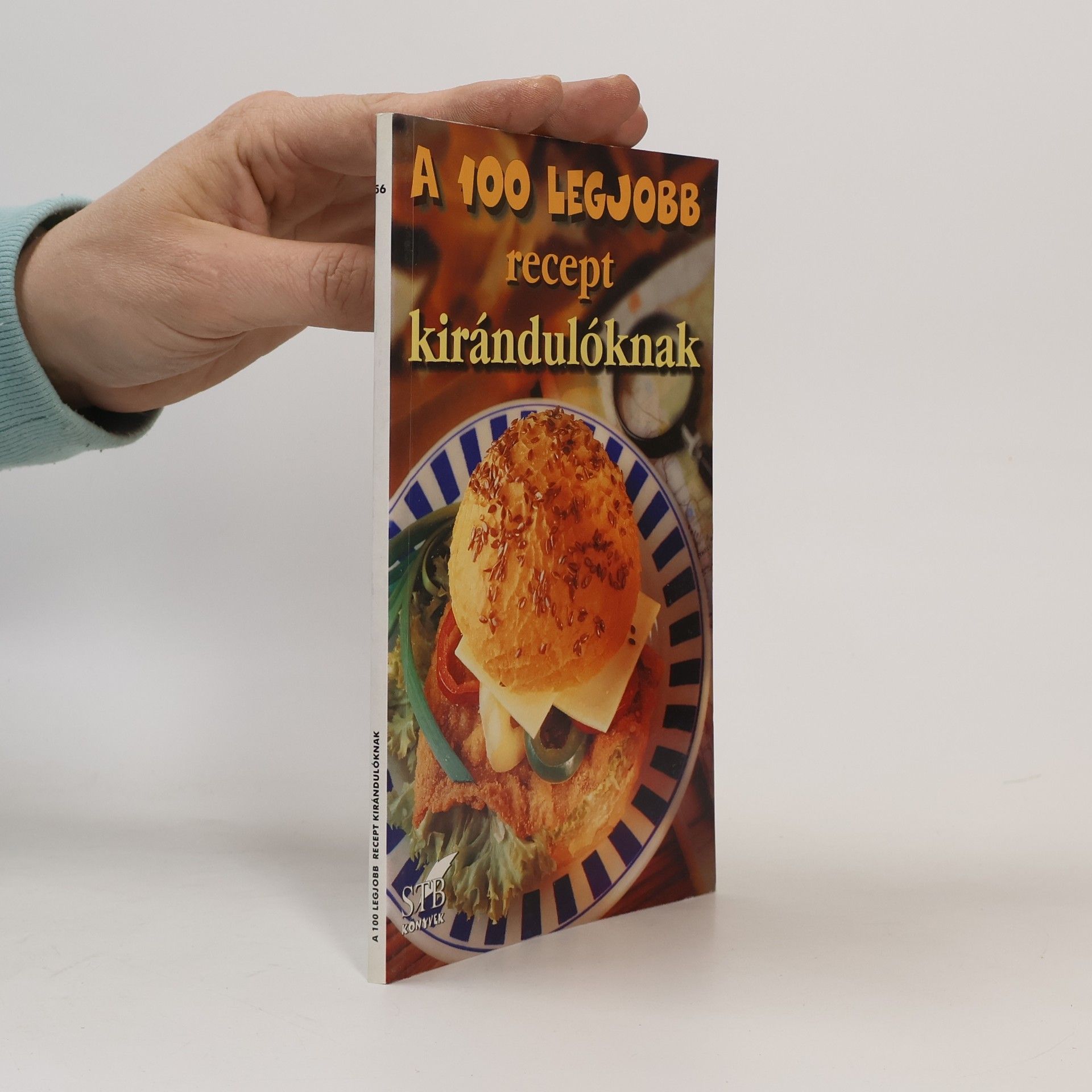 Autorenkollektiv A 100 Legjobb recept kirándulóknak