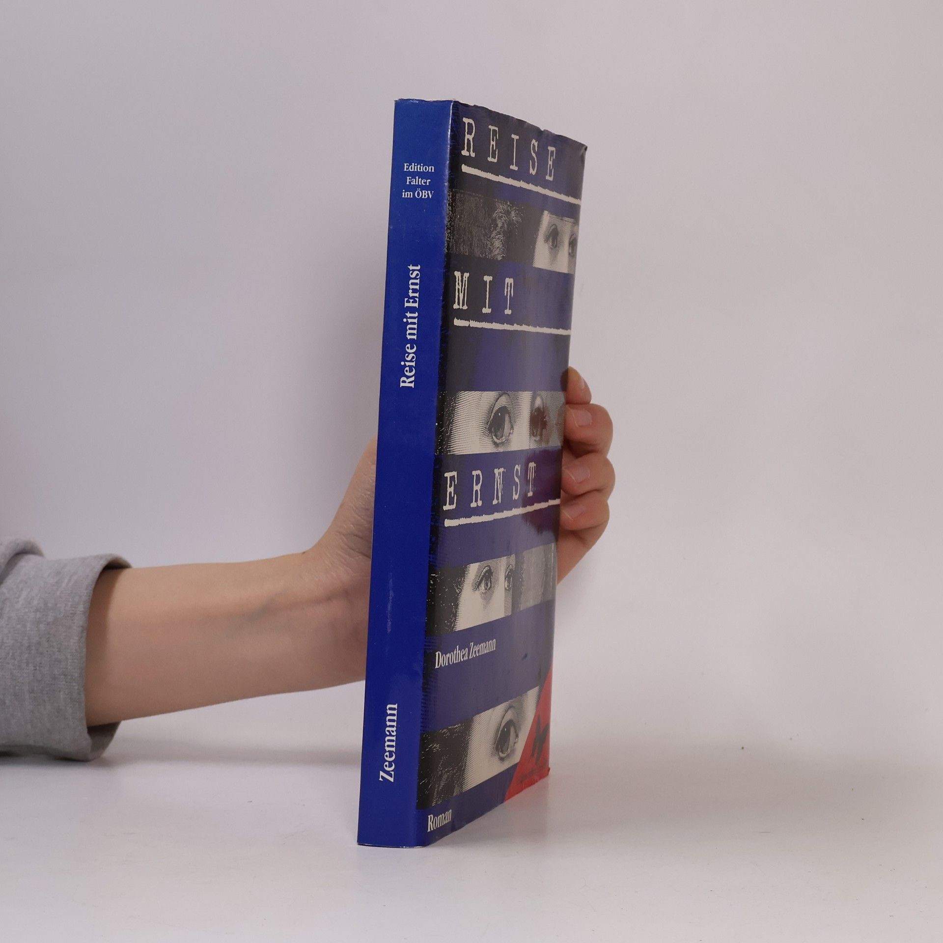 Dorothea Zeemann Reise mit Ernst : Roman
