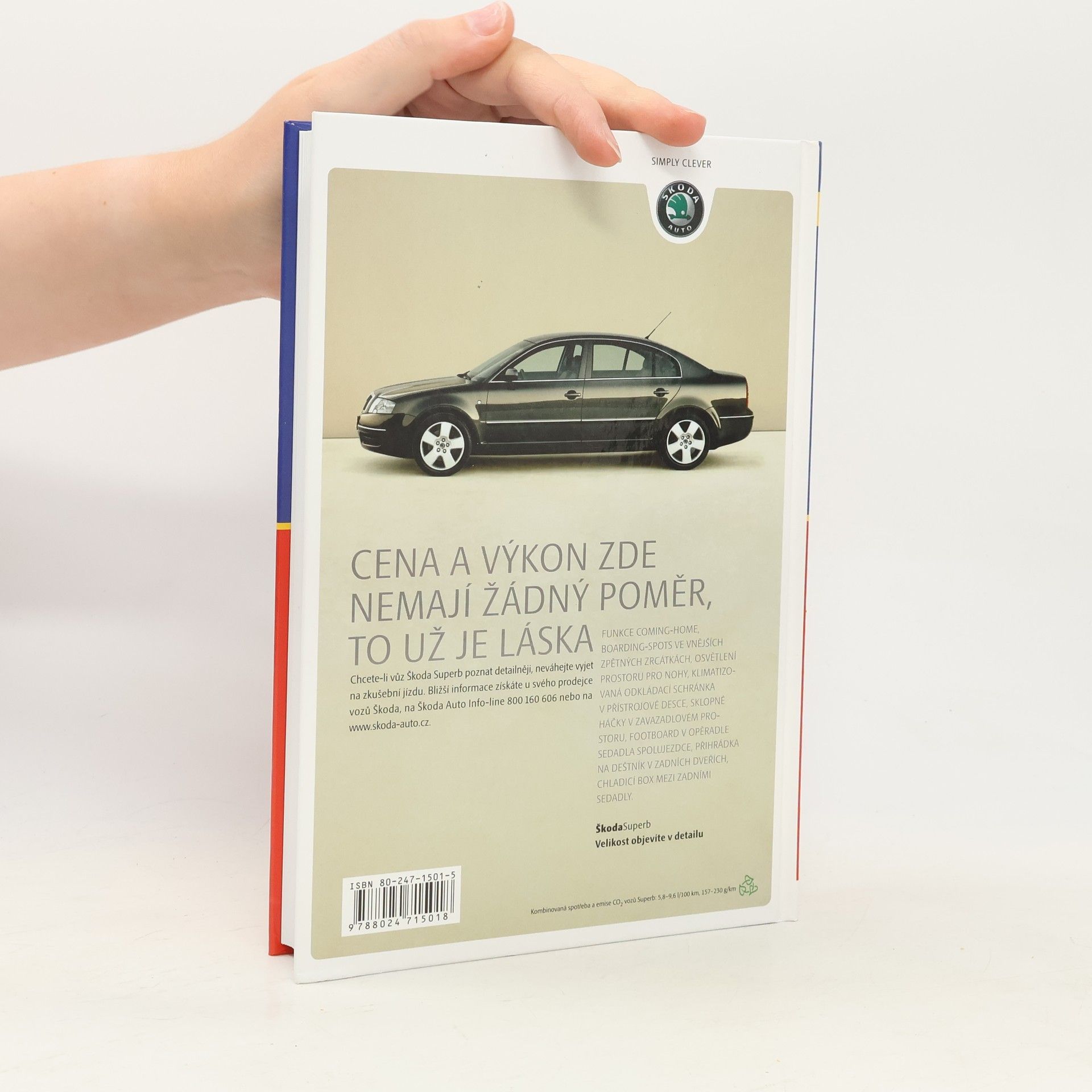 Alena Svozilová Projektový management