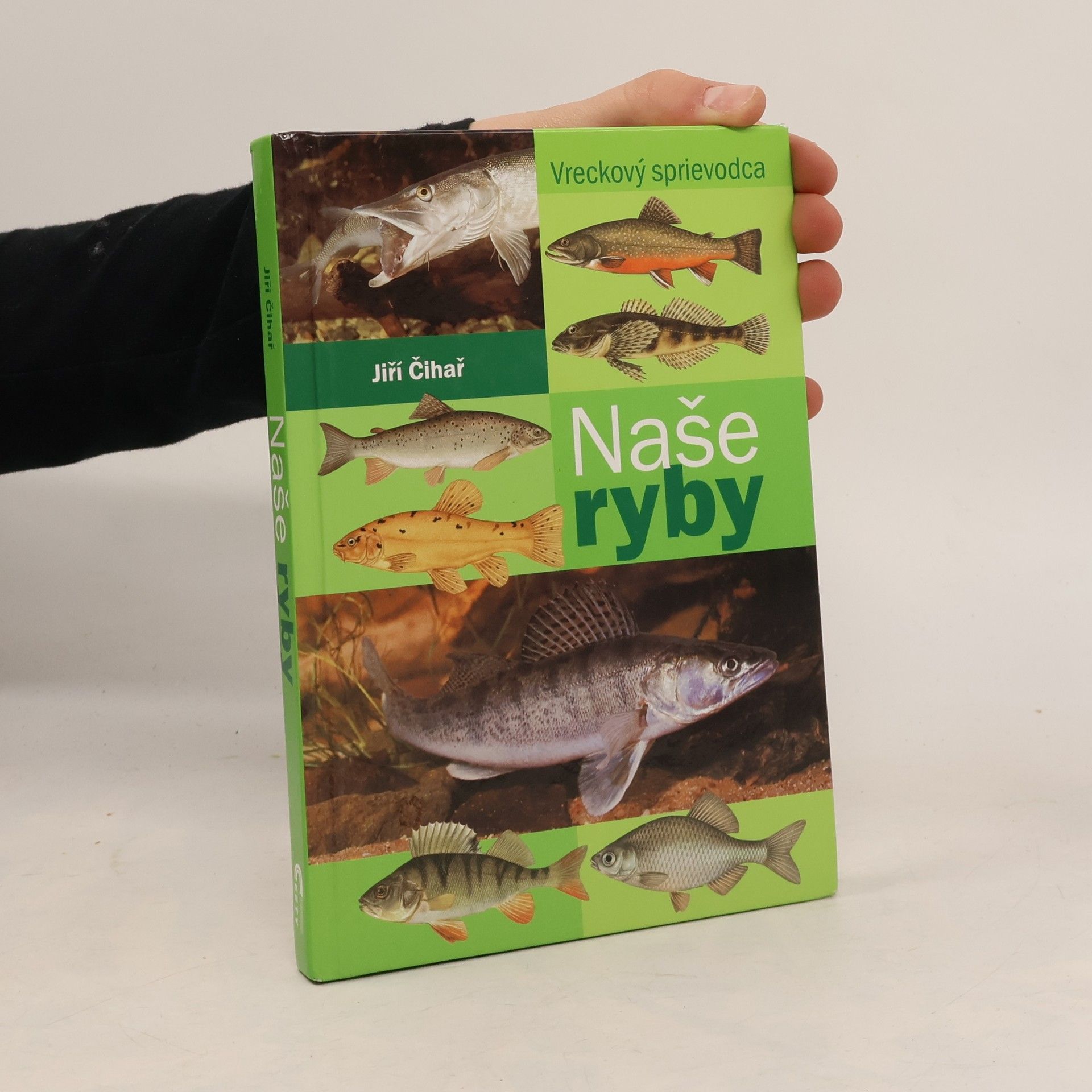 Naše ryby