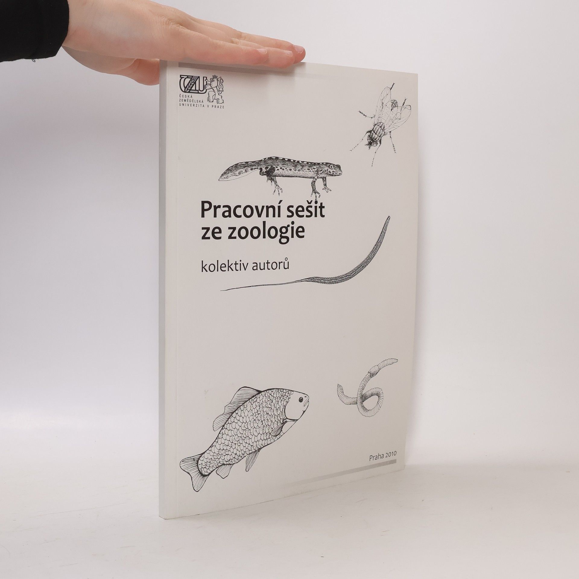 Auteurscollectief Pracovní sešit ze zoologie