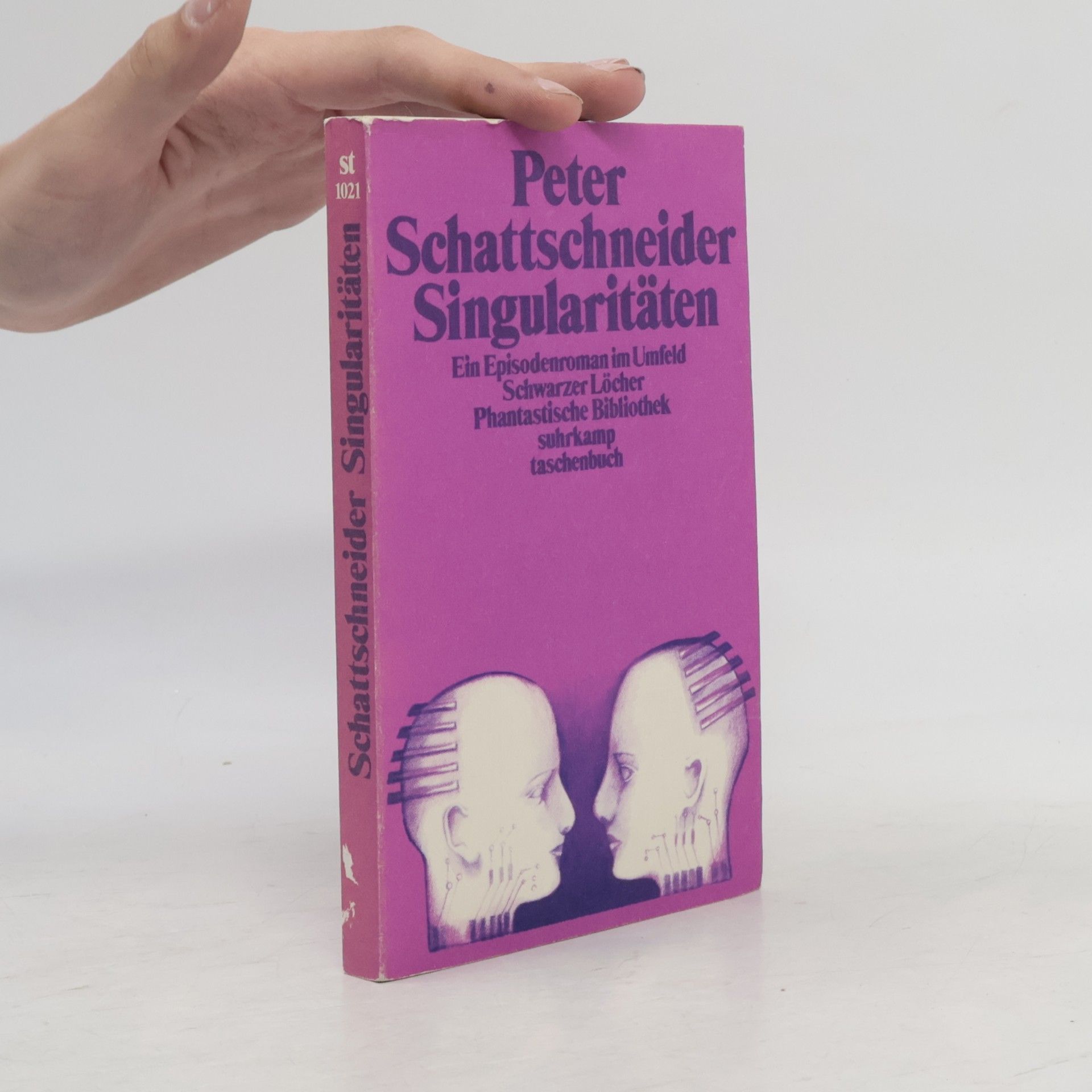 Peter Schattschneider Singularitäten