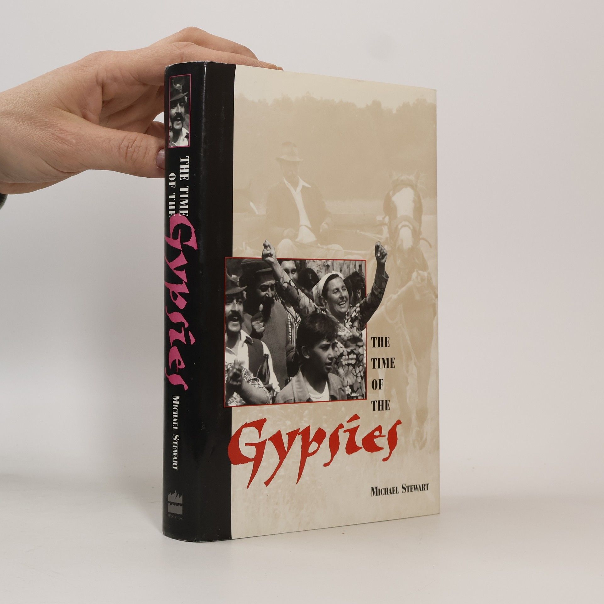 Michael Stewart The Time of the Gypsies