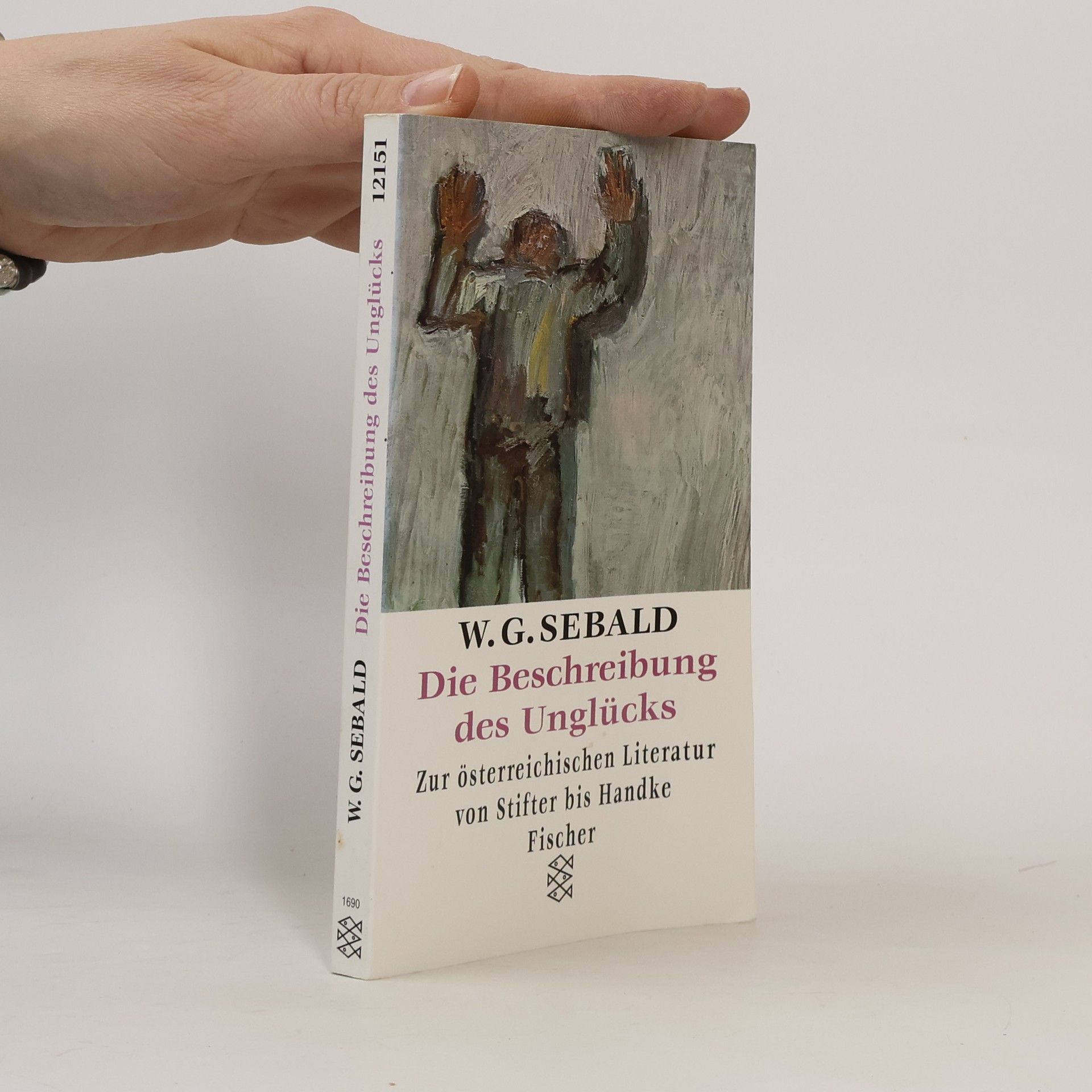 W. G. Sebald Die Beschreibung des Unglücks