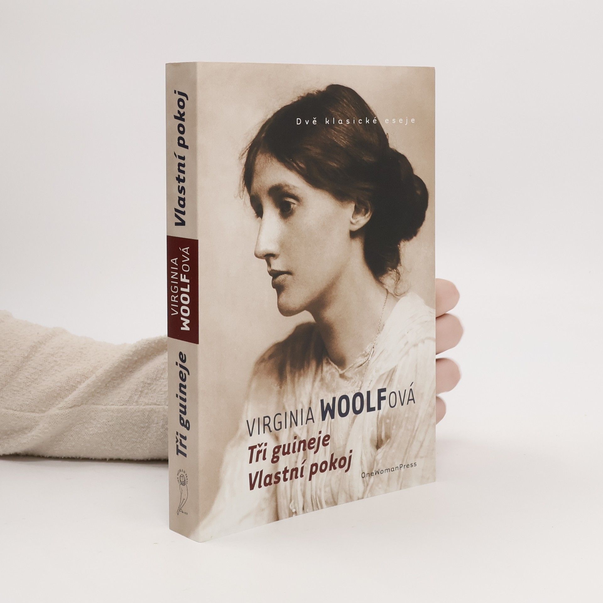 Virginia Woolf Tři guineje. Vlastní pokoj