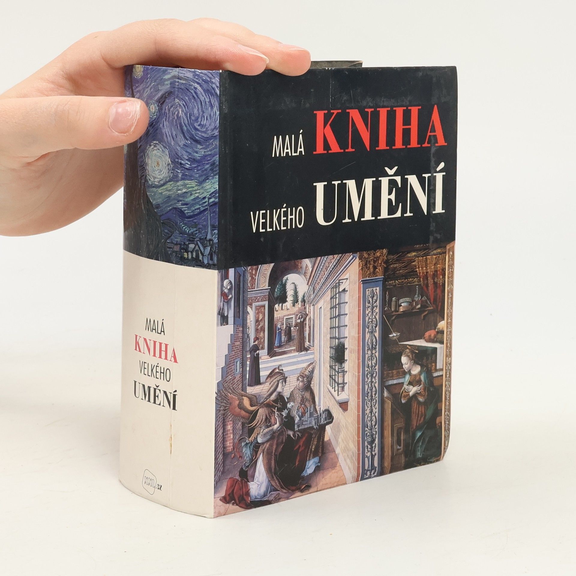 Malá kniha velkého umění