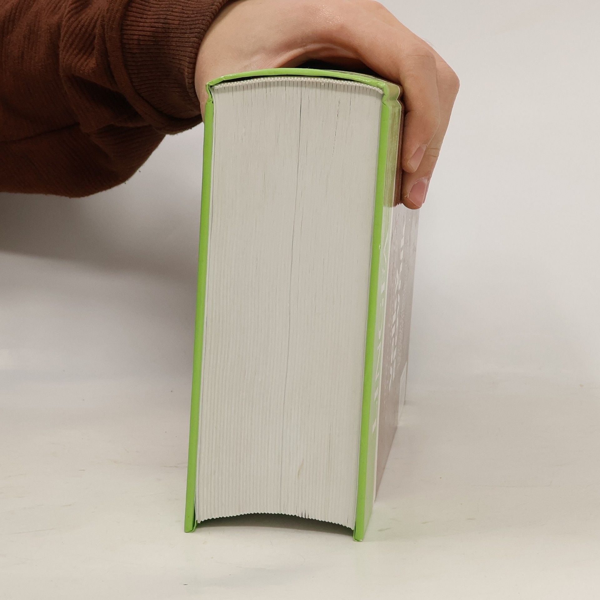 Autorenkollektiv Německo-český česko-německý velký slovník