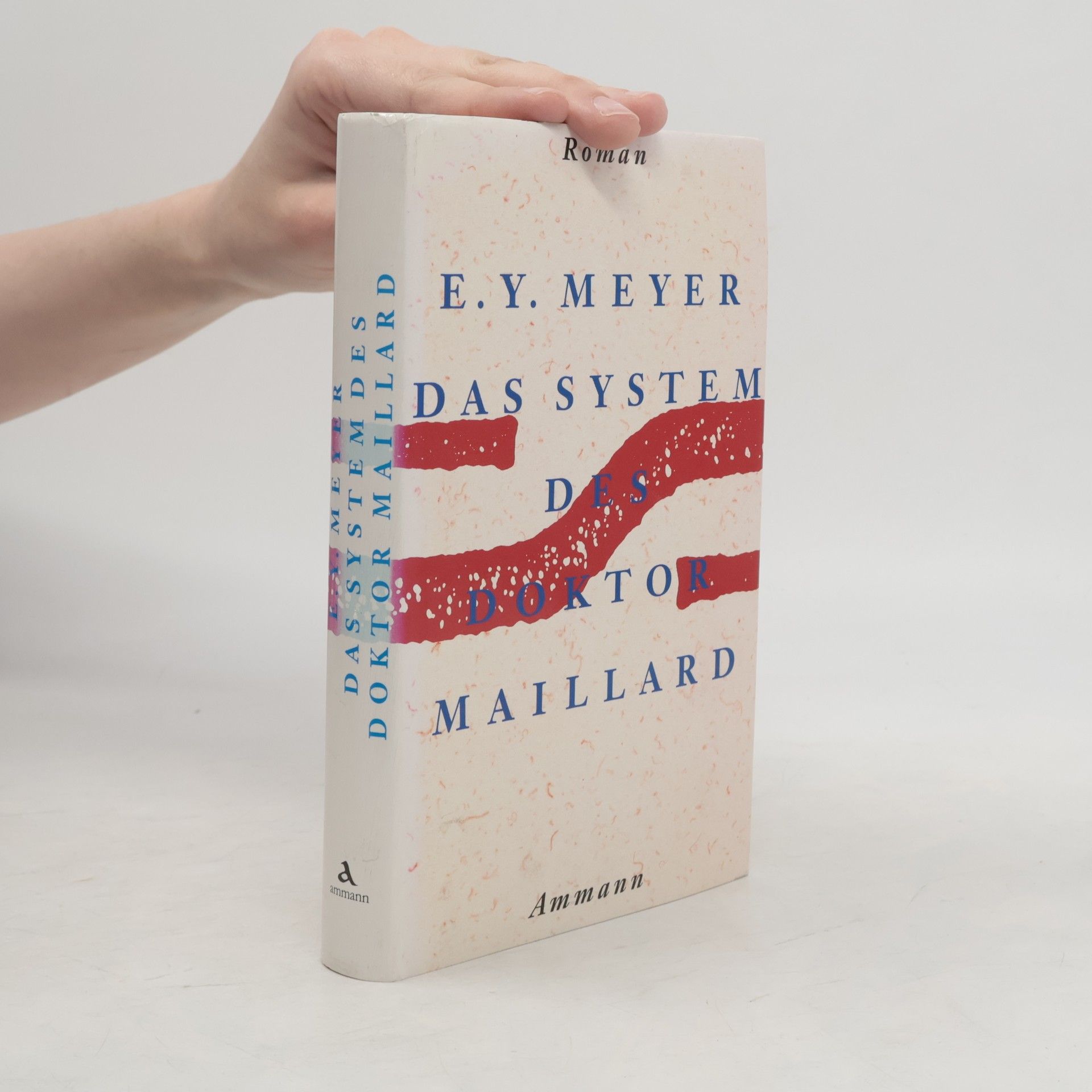 E. Y. Meyer Das System des Doktor Maillard oder Die Welt der Maschinen