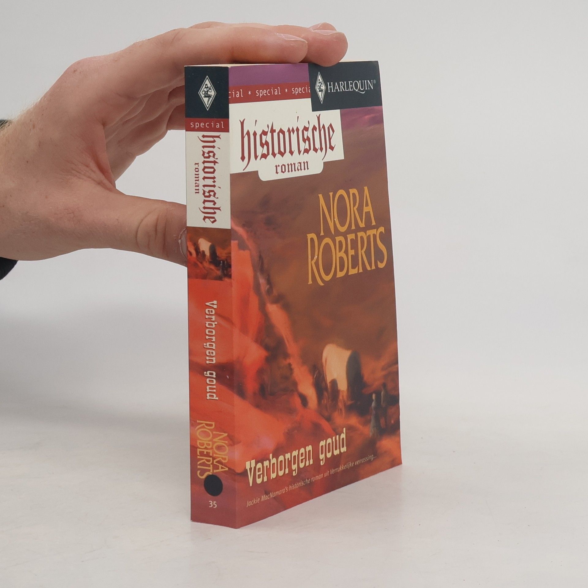 Nora Roberts Verborgen goud