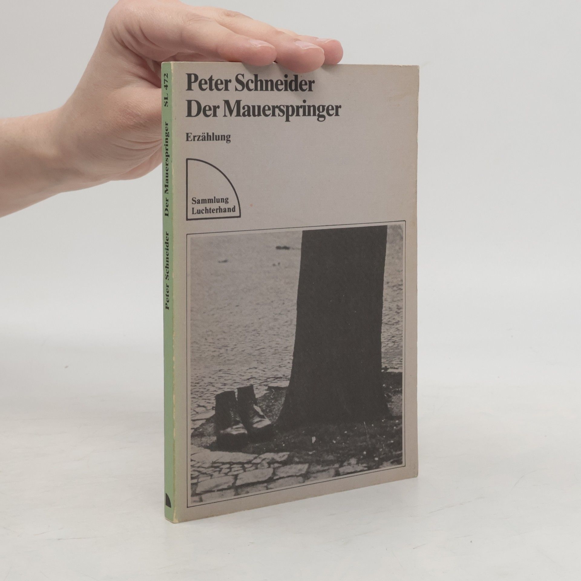 Peter Schneider Der Mauerspringer