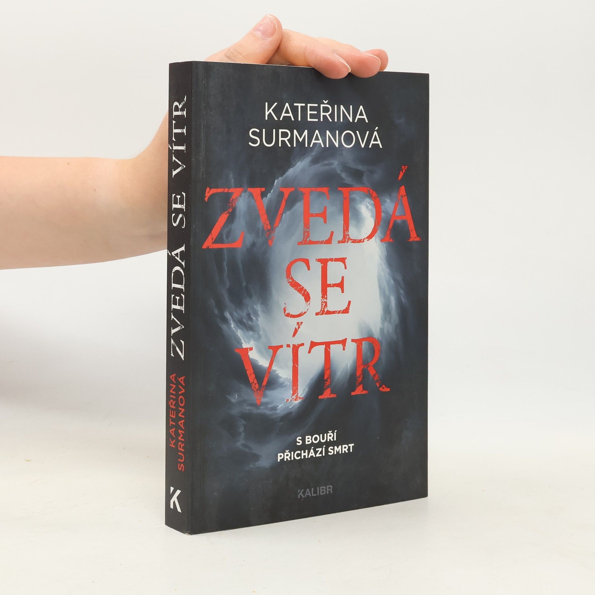 Kateřina Surmanová Zvedá se vítr