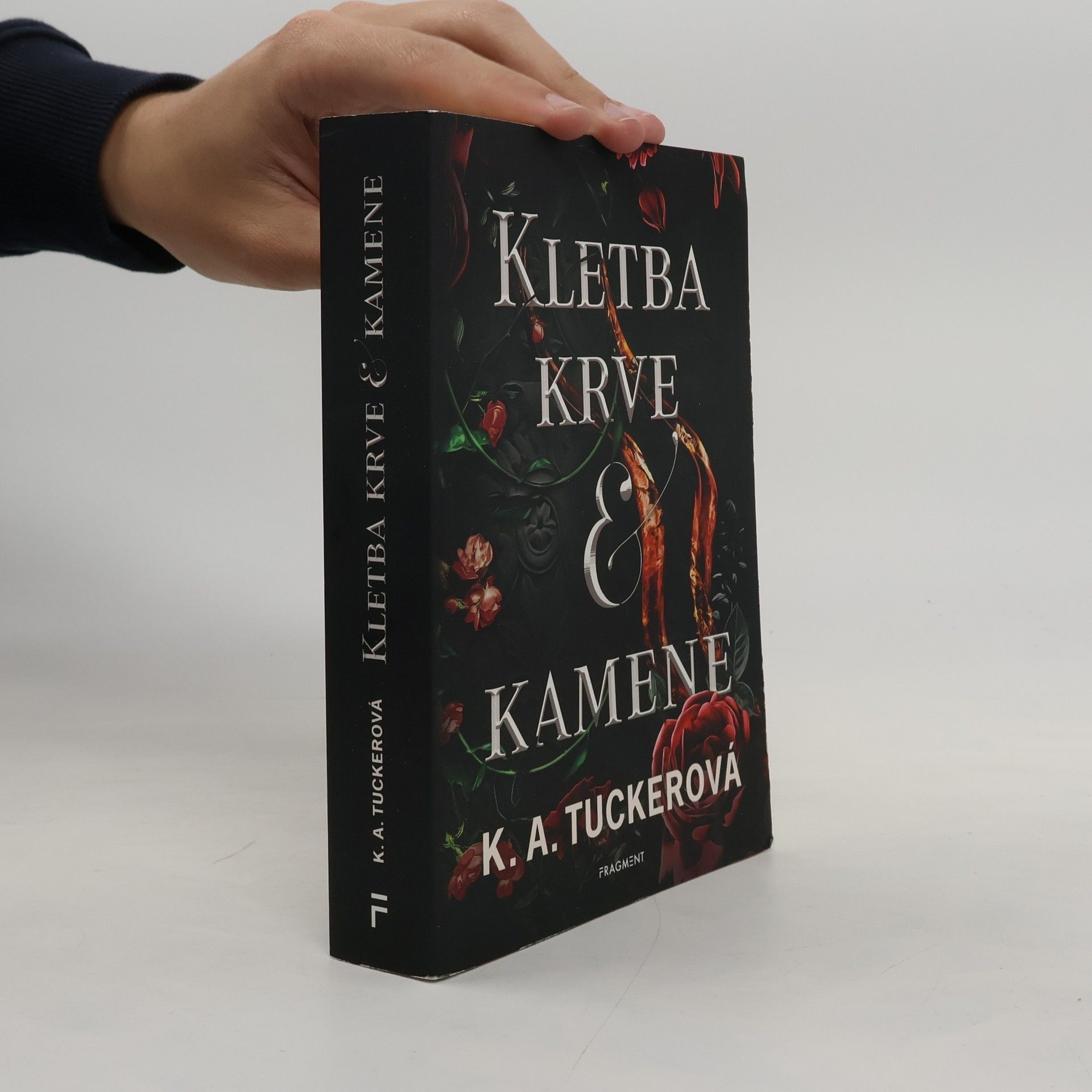 Hněv a oheň 2. Kletba krve a kamene