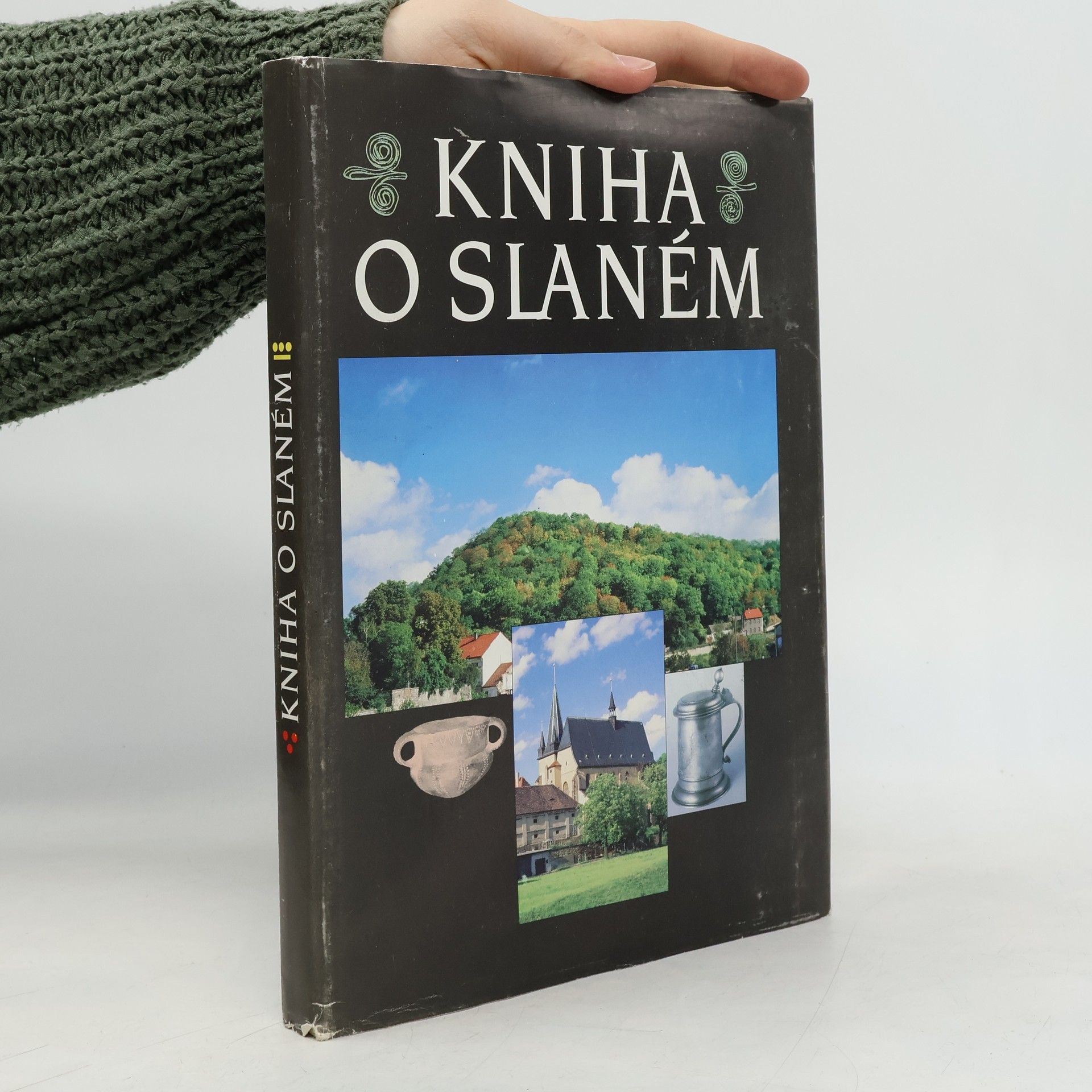 Kniha o Slaném