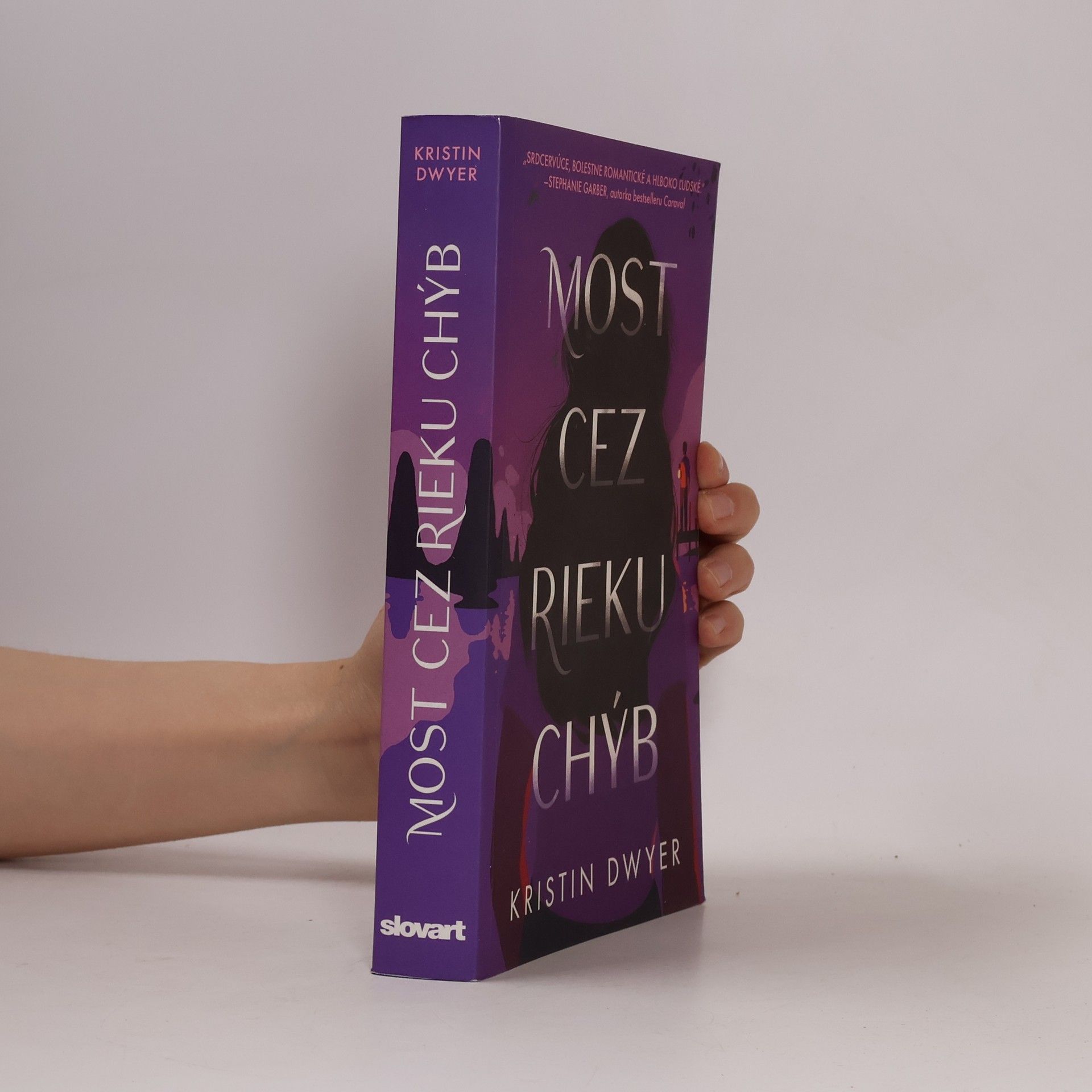 Kristin Dwyer Most cez rieku chýb