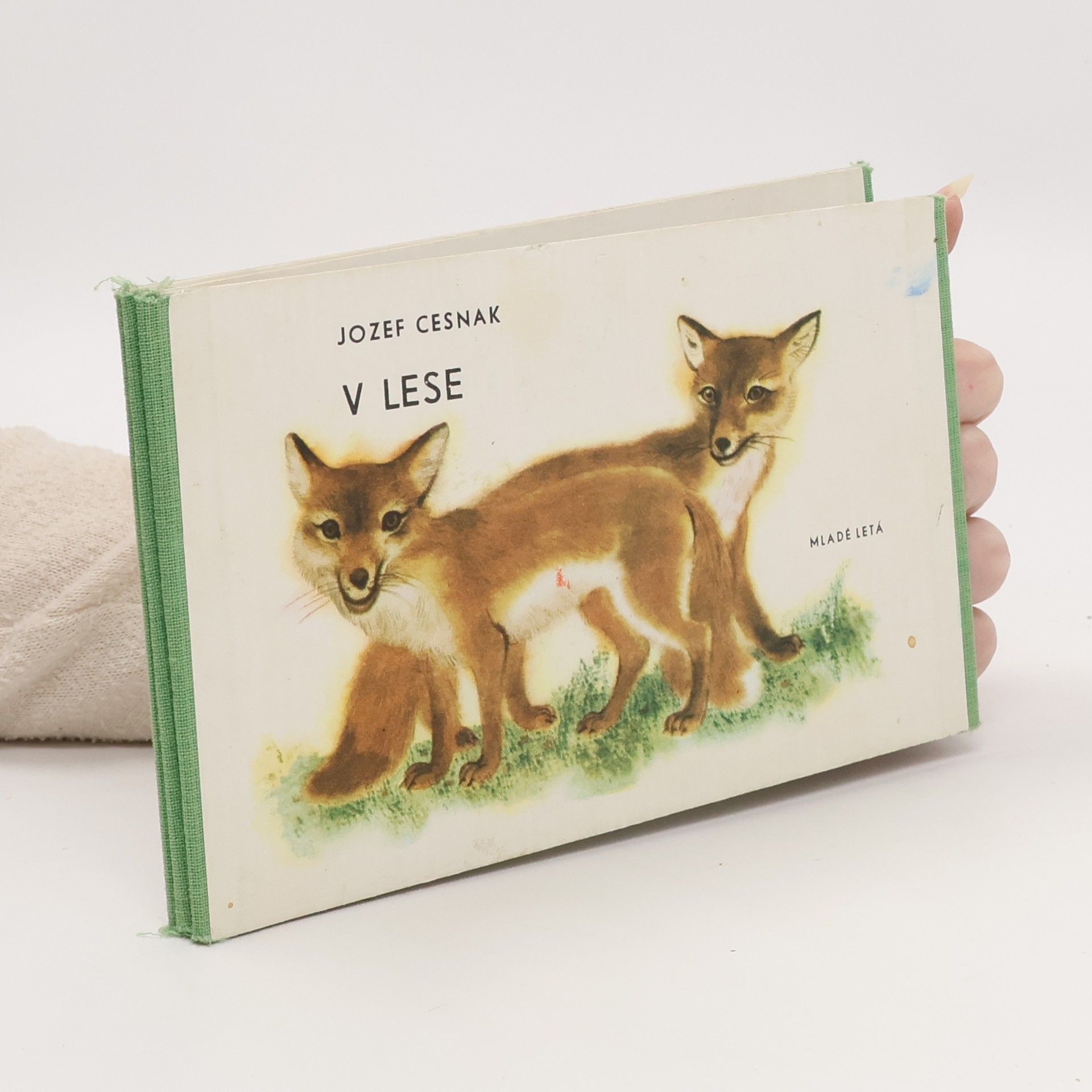 Jozef Cesnak V lese
