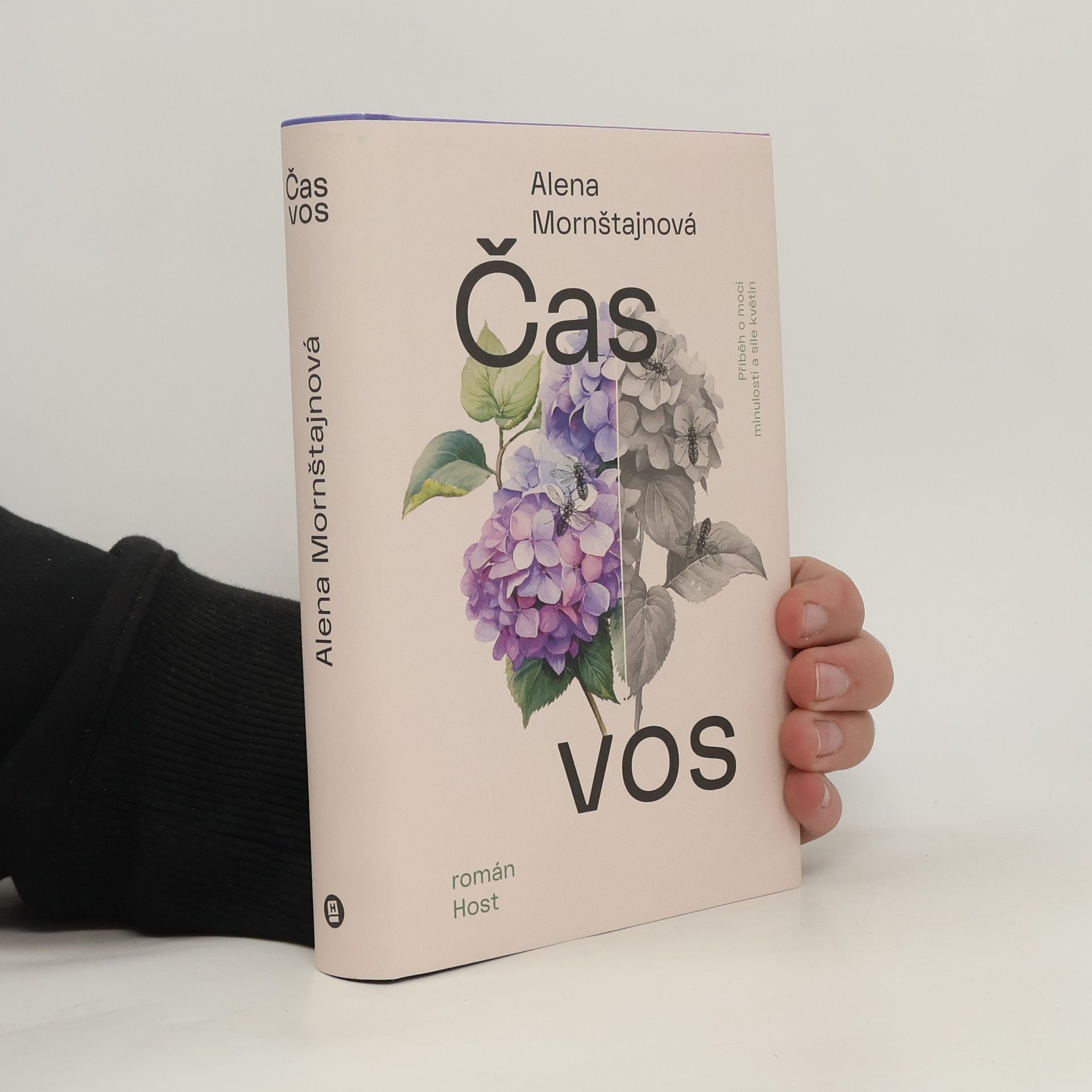 Alena Mornštajnová Čas vos