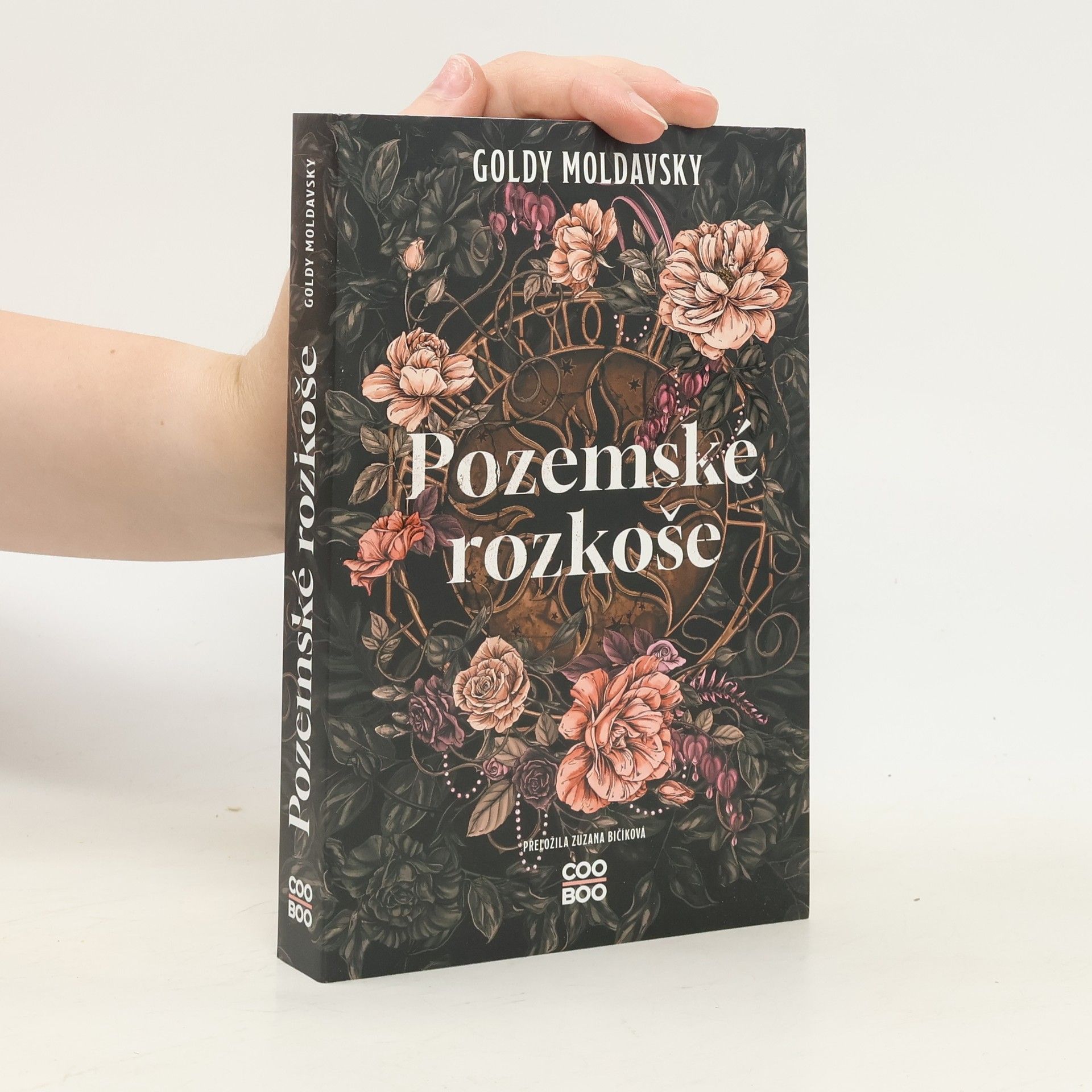 Pozemské rozkoše