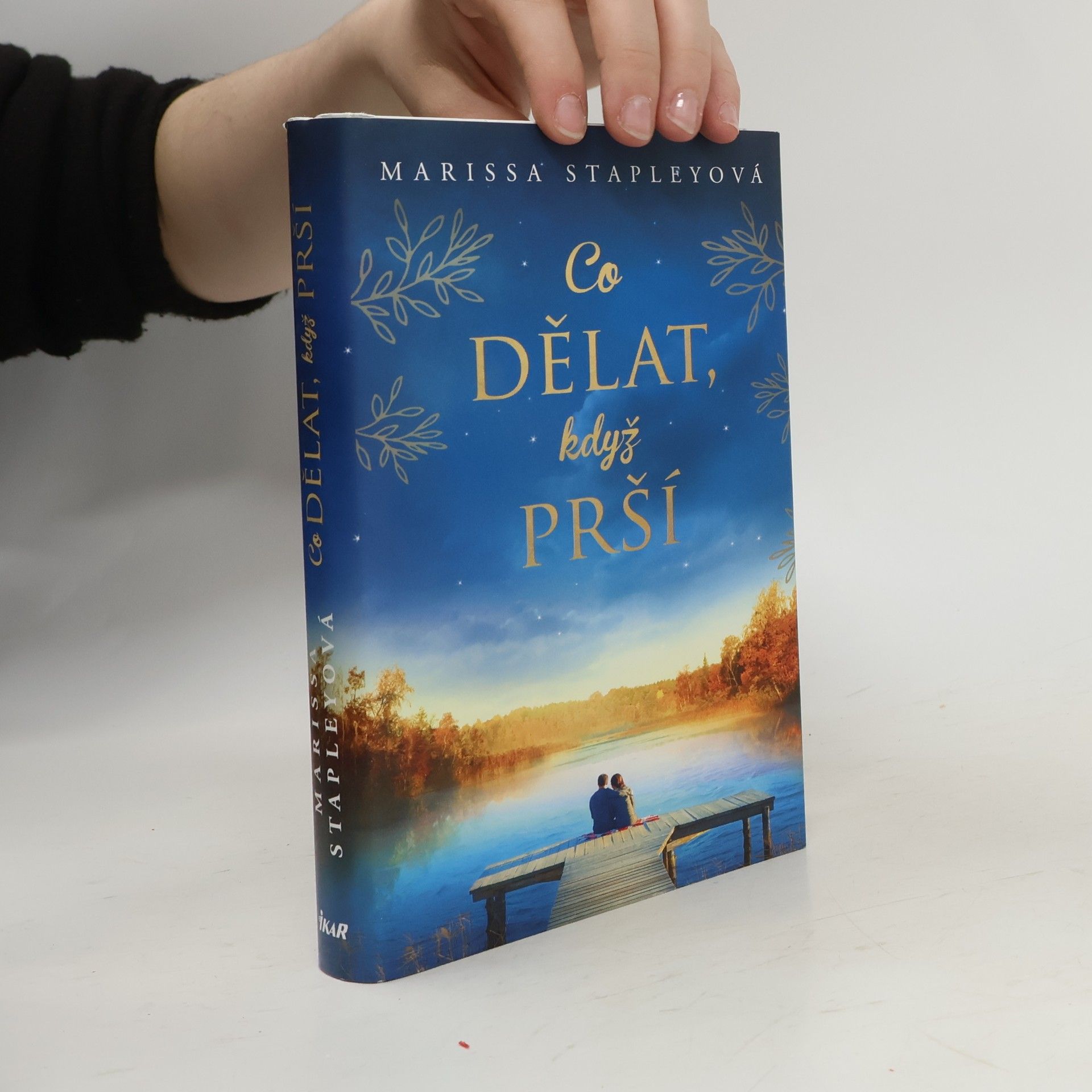 Marissa Stapley Co dělat, když prší