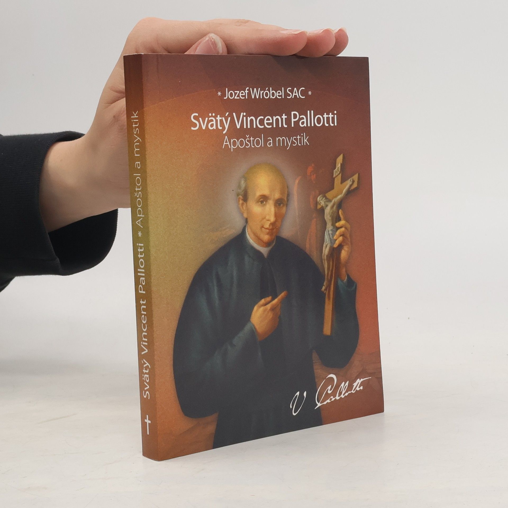 Jozef Wróbel Svätý Vincent Pallotti. Apoštol a mystik