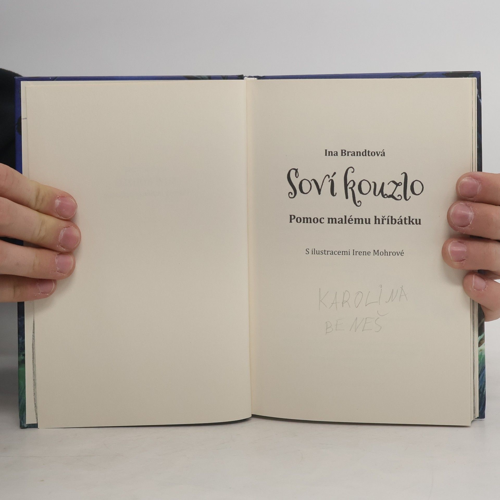 Ina Brandt Soví kouzlo. Pomoc malému hříbátku