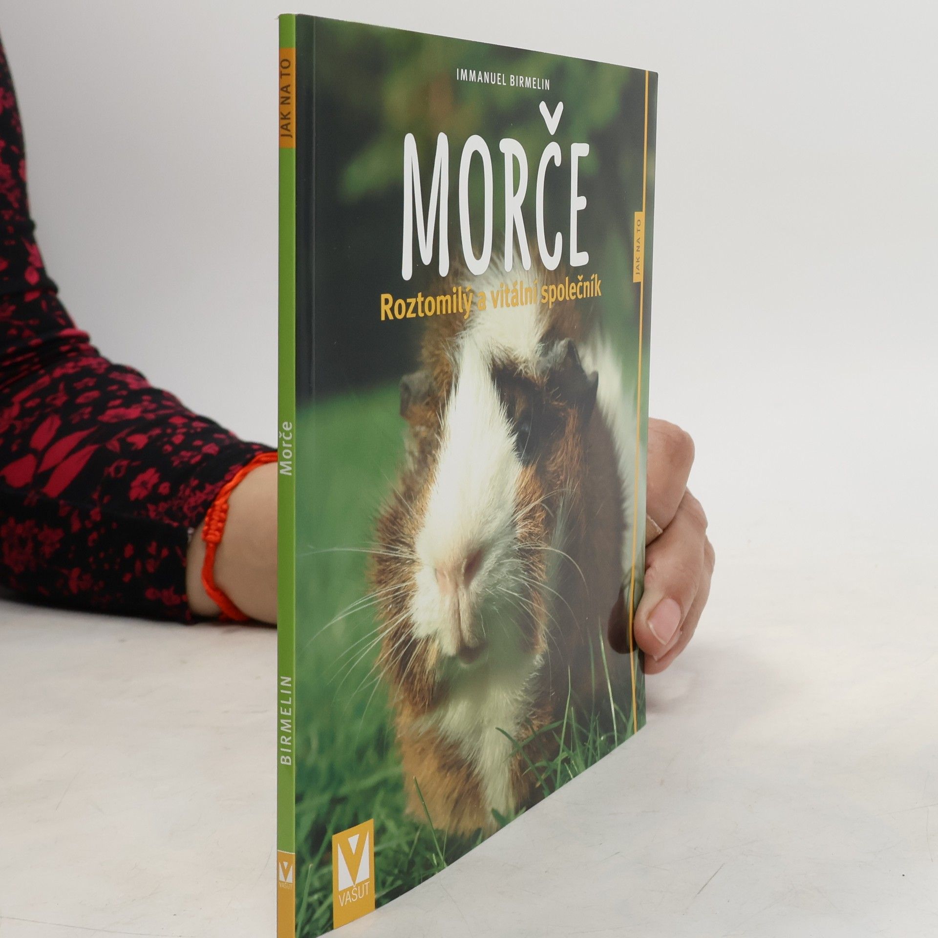 Immanuel Birmelin Morče. Roztomilý a vitální společník