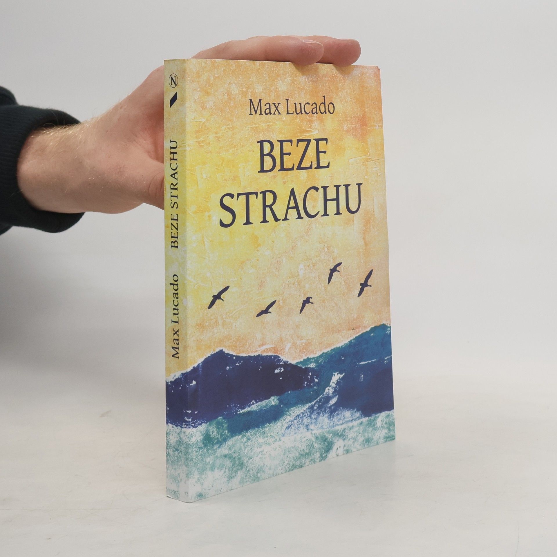 Max Lucado Beze strachu
