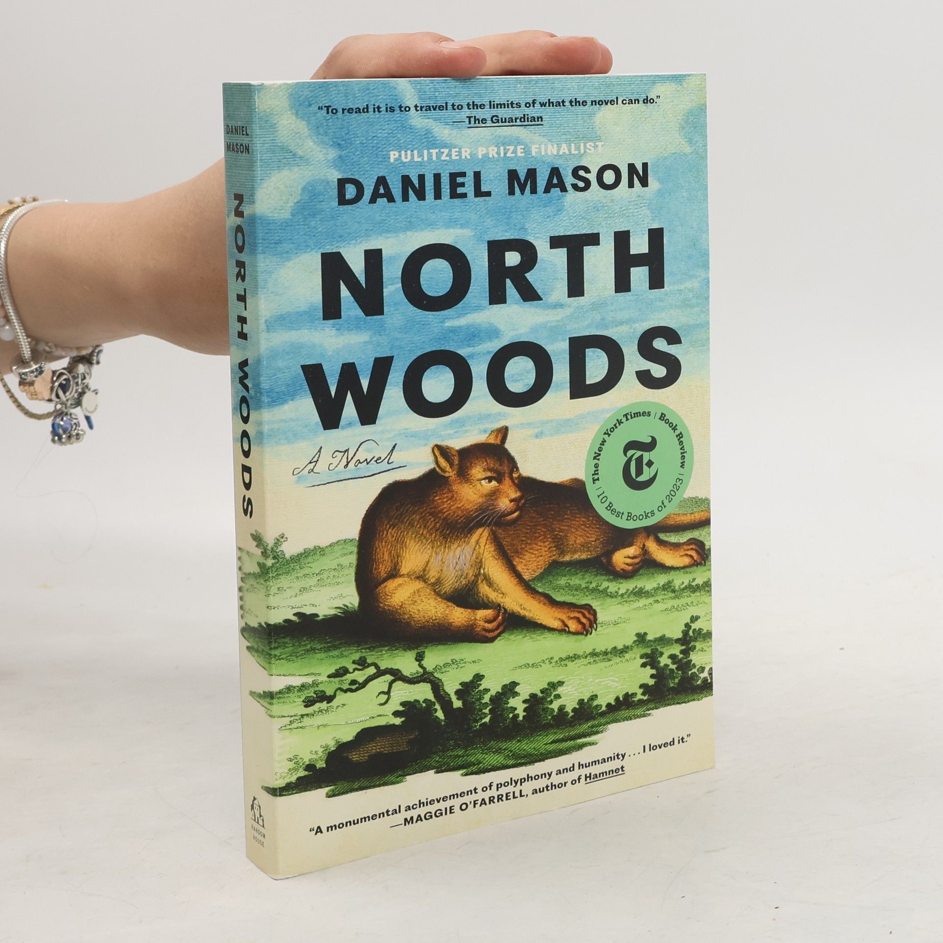 Daniel Mason North Woods