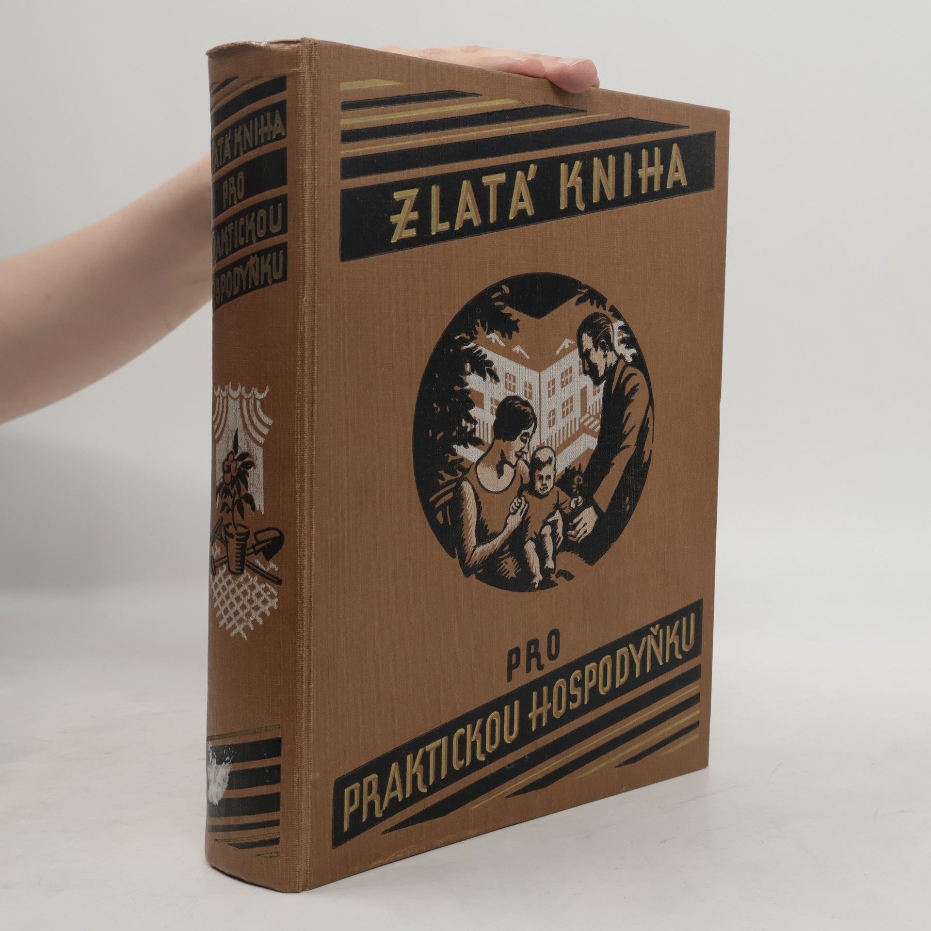 Kolektiv autorů Zlatá kniha pro praktickou hospodyňku