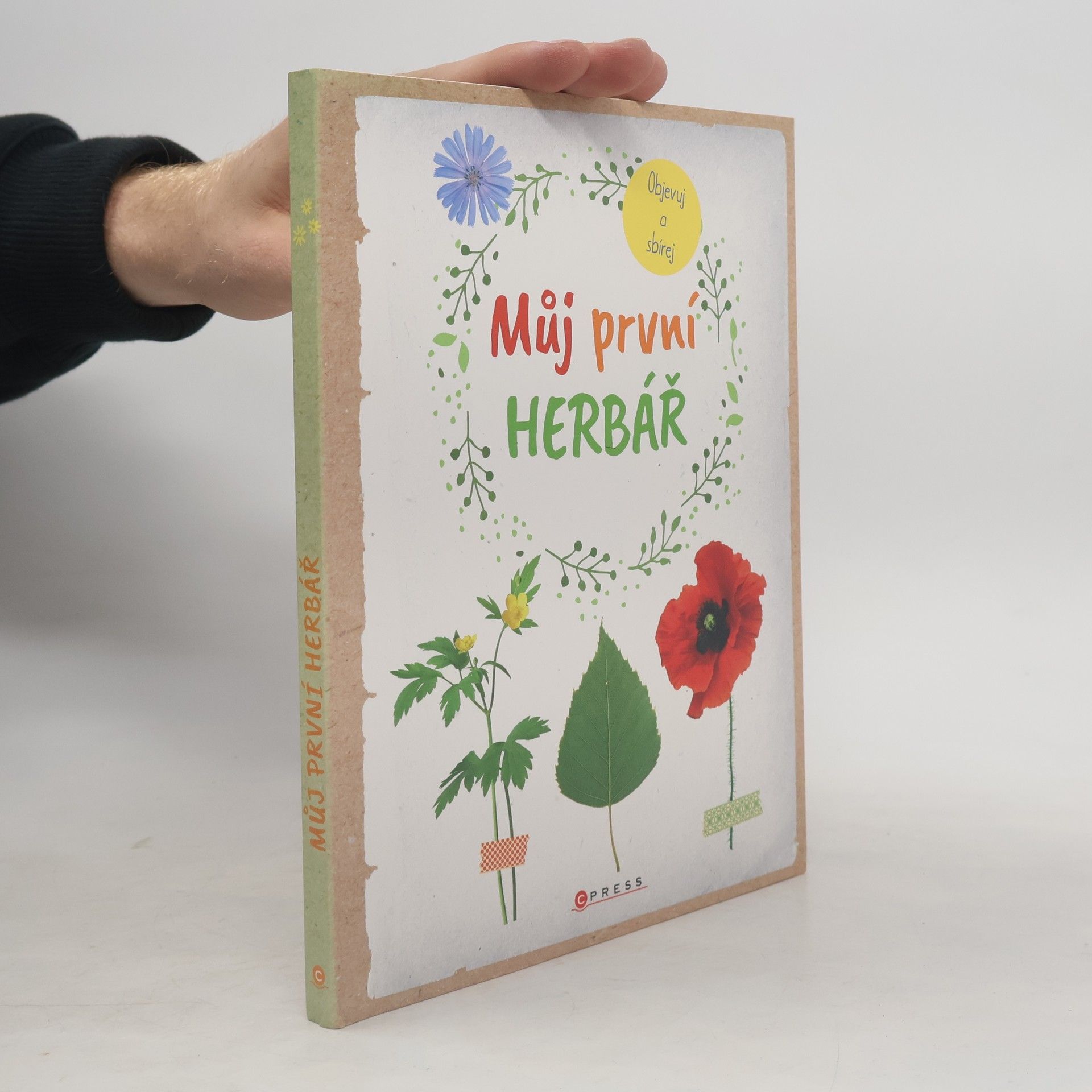 Anna Linstadt Můj první herbář