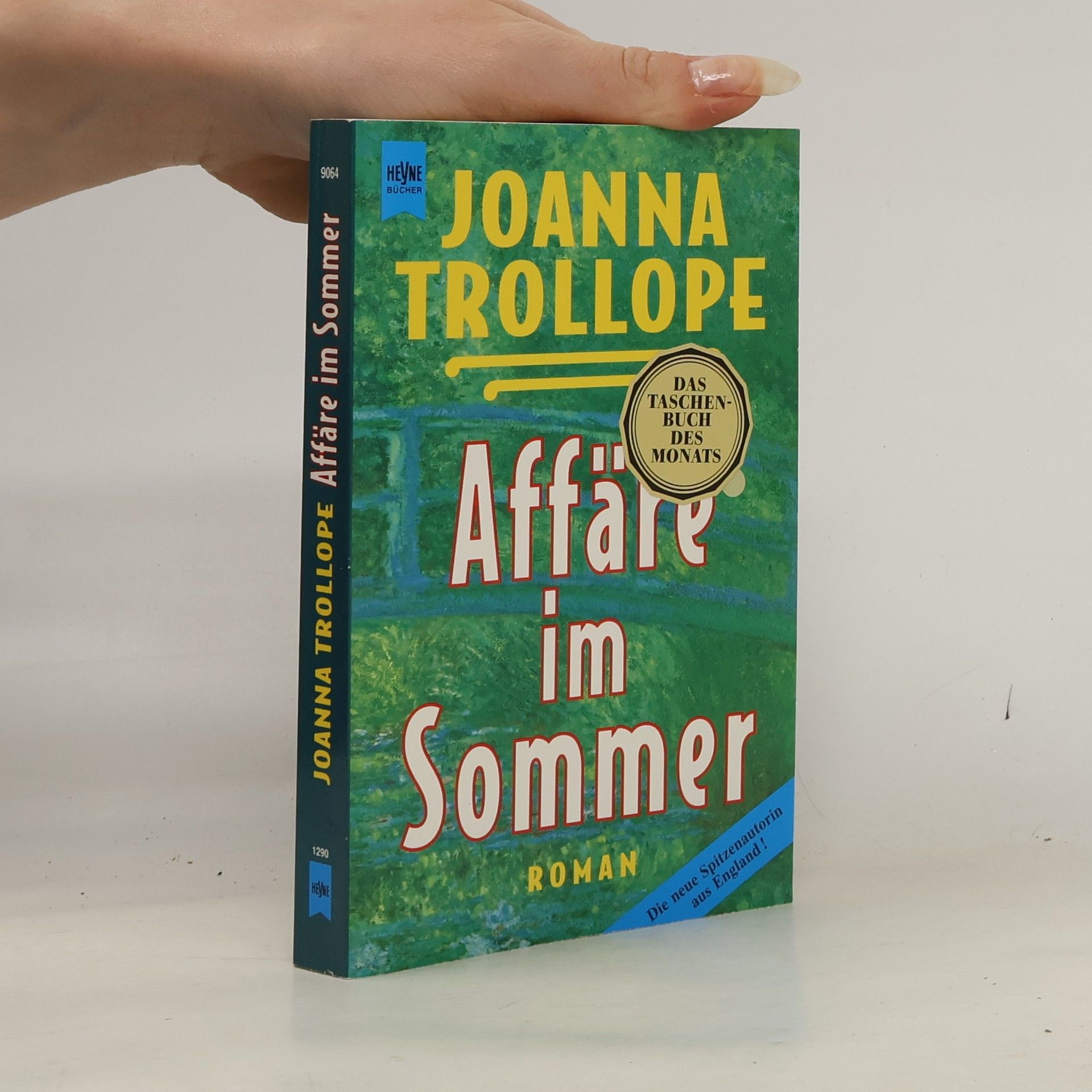 Joanna Trollope Affäre im Sommer
