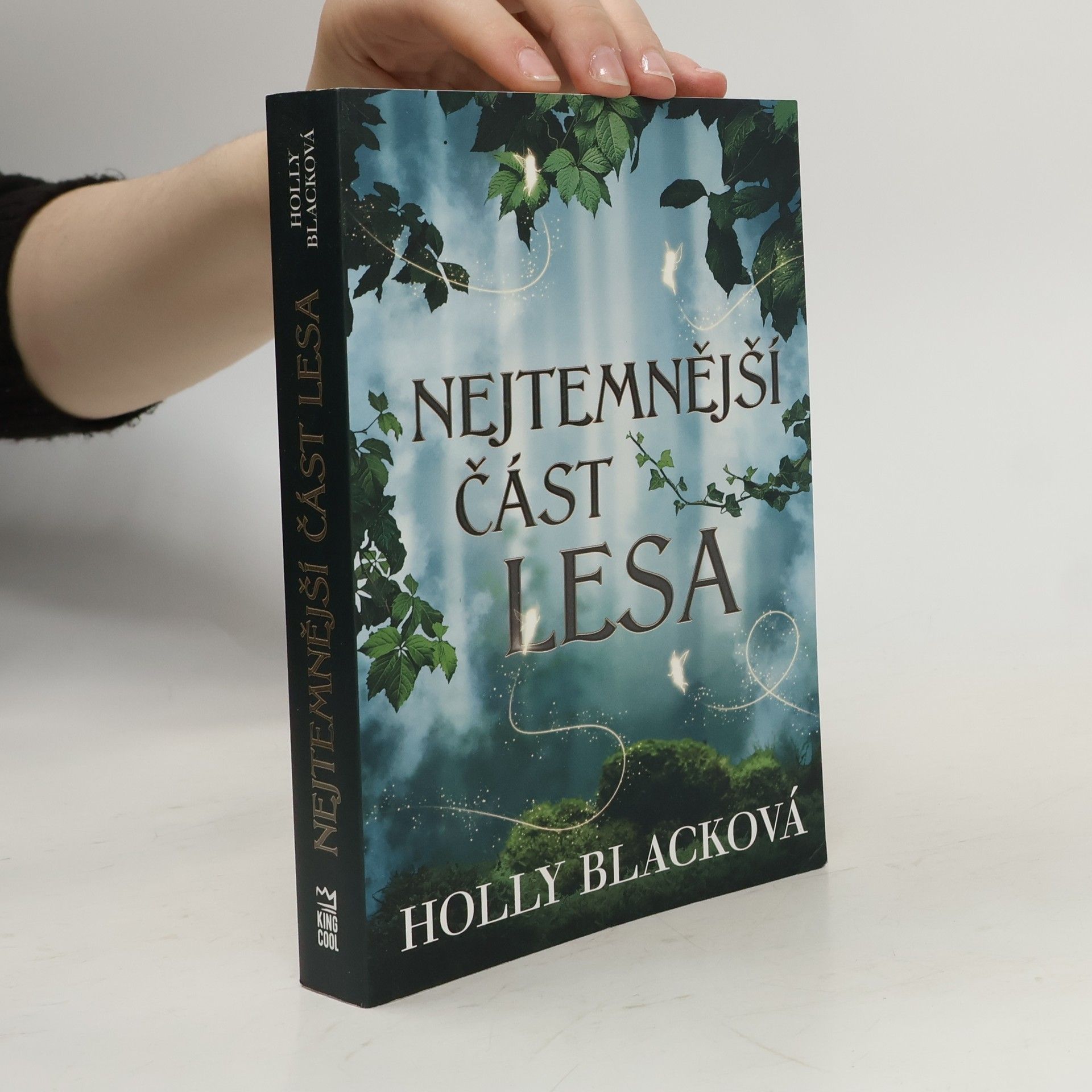 Holly Black Nejtemnější část lesa
