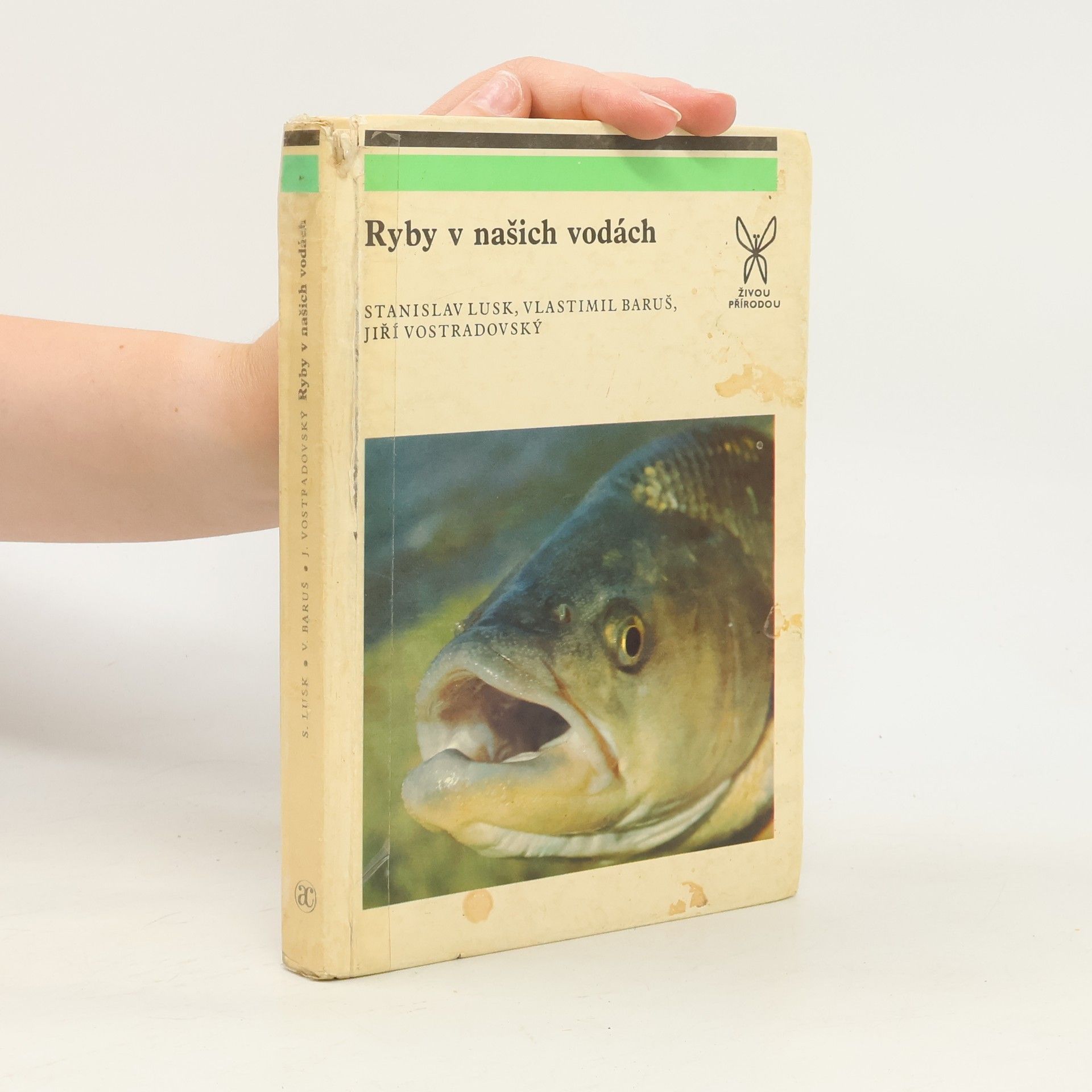 Various authors Ryby v našich vodách