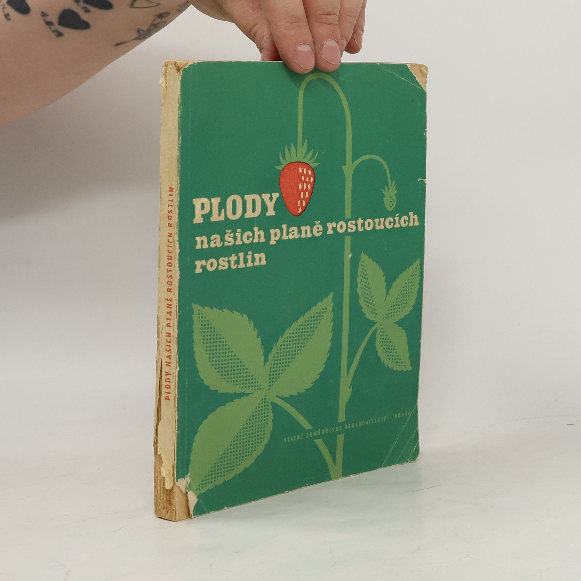 Ivan Klášterský Plody našich planě rostoucích rostlin