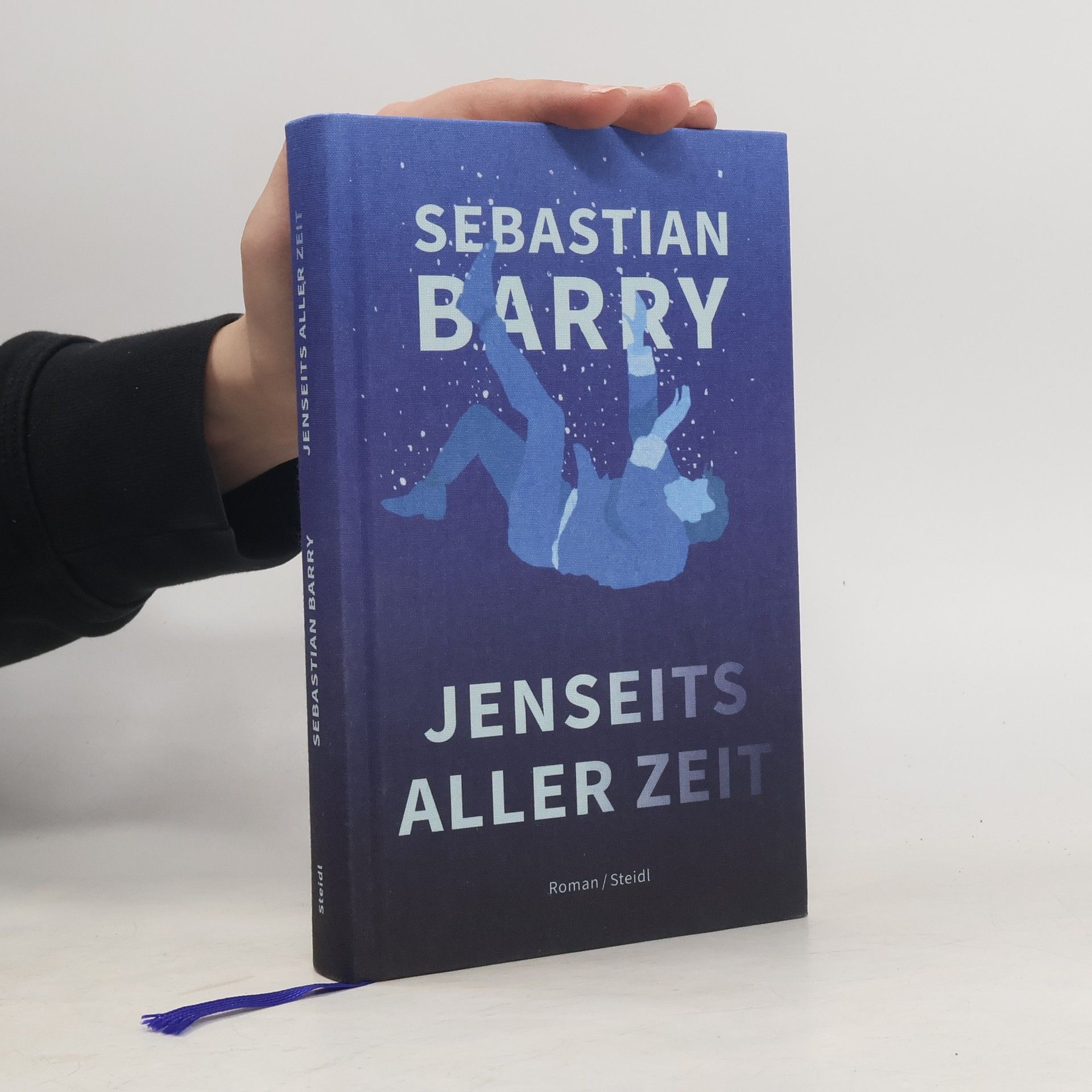 Sebastian Barry Jenseits aller Zeit