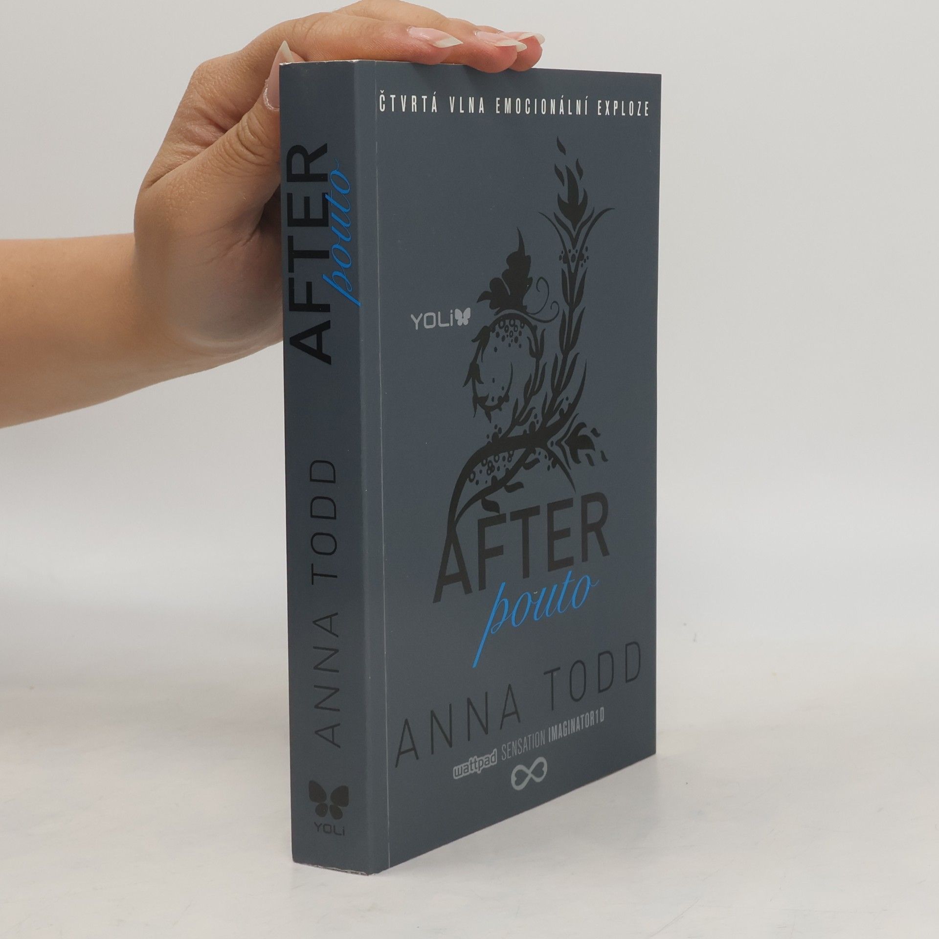 Anna Todd After. Pouto