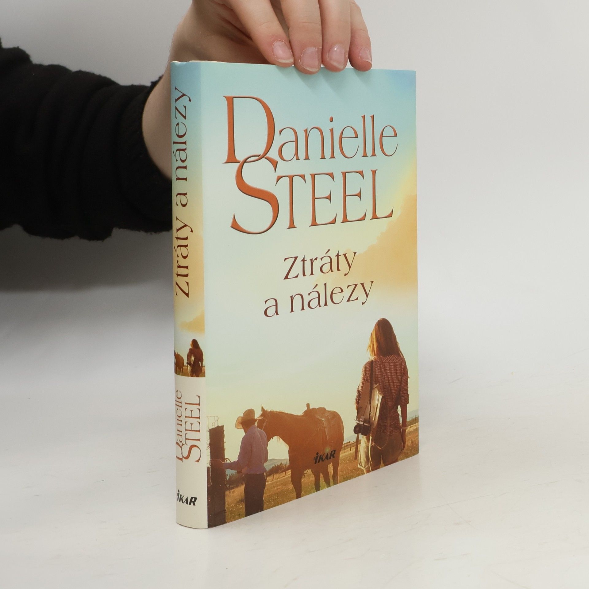 Danielle Steel Ztráty a nálezy