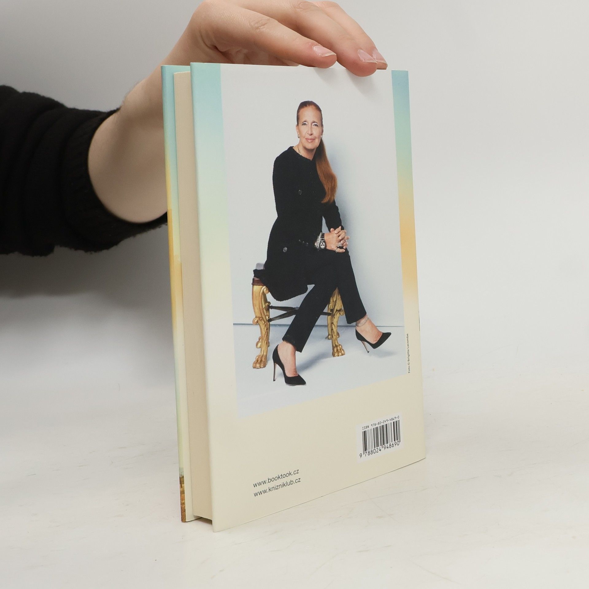 Danielle Steel Ztráty a nálezy