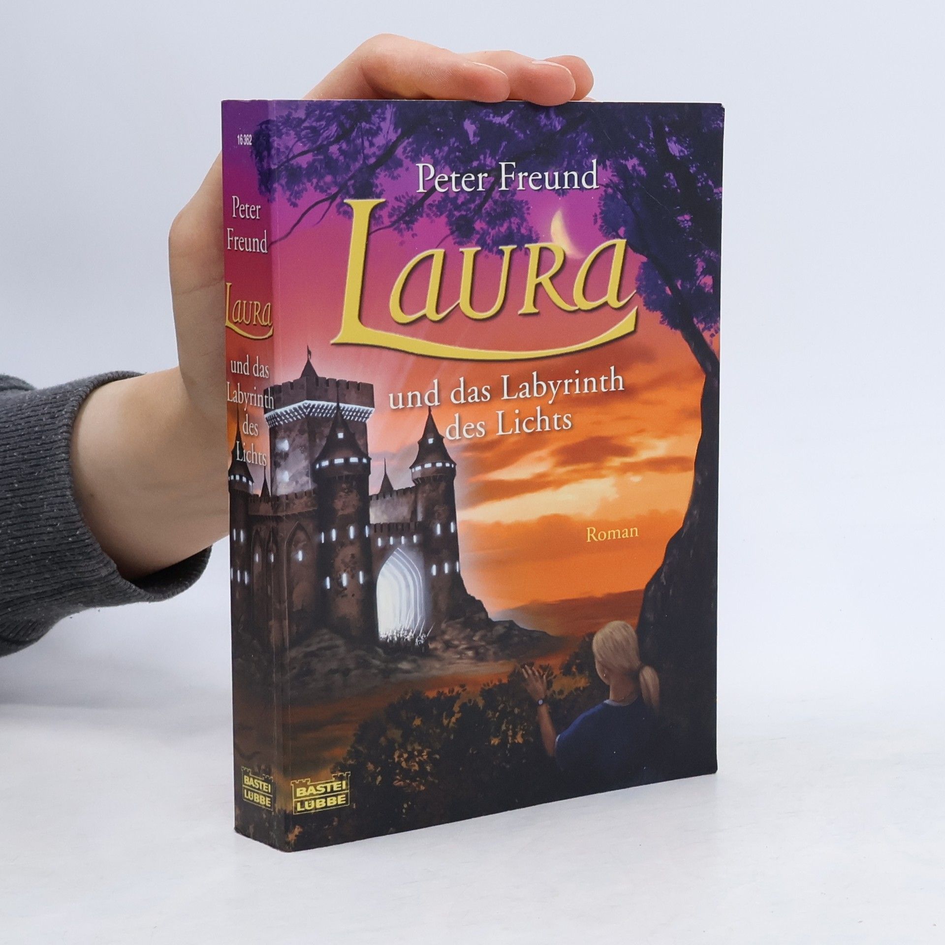 Peter Freund Laura und das Labyrinth des Lichts