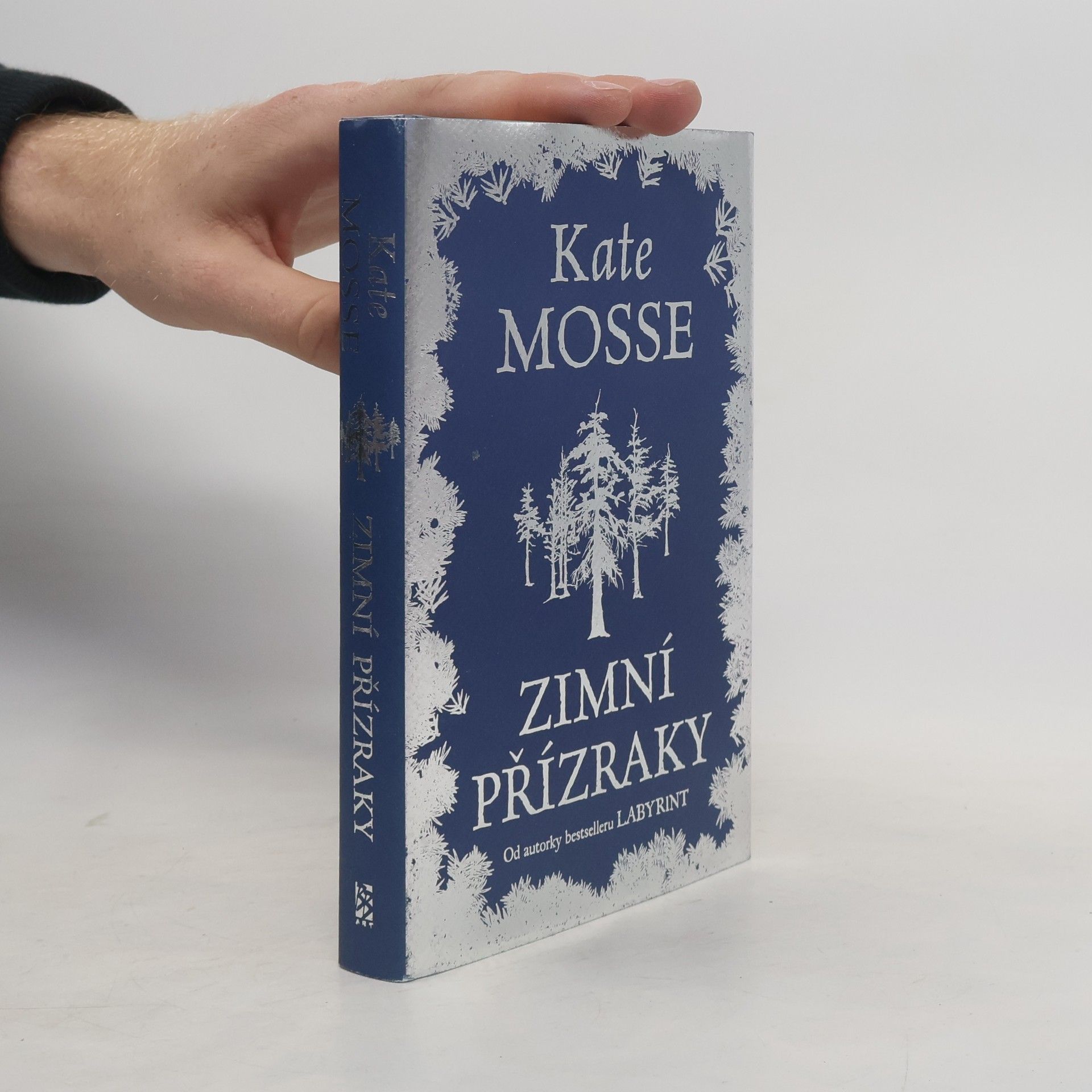 Kate Mosse Zimní přízraky