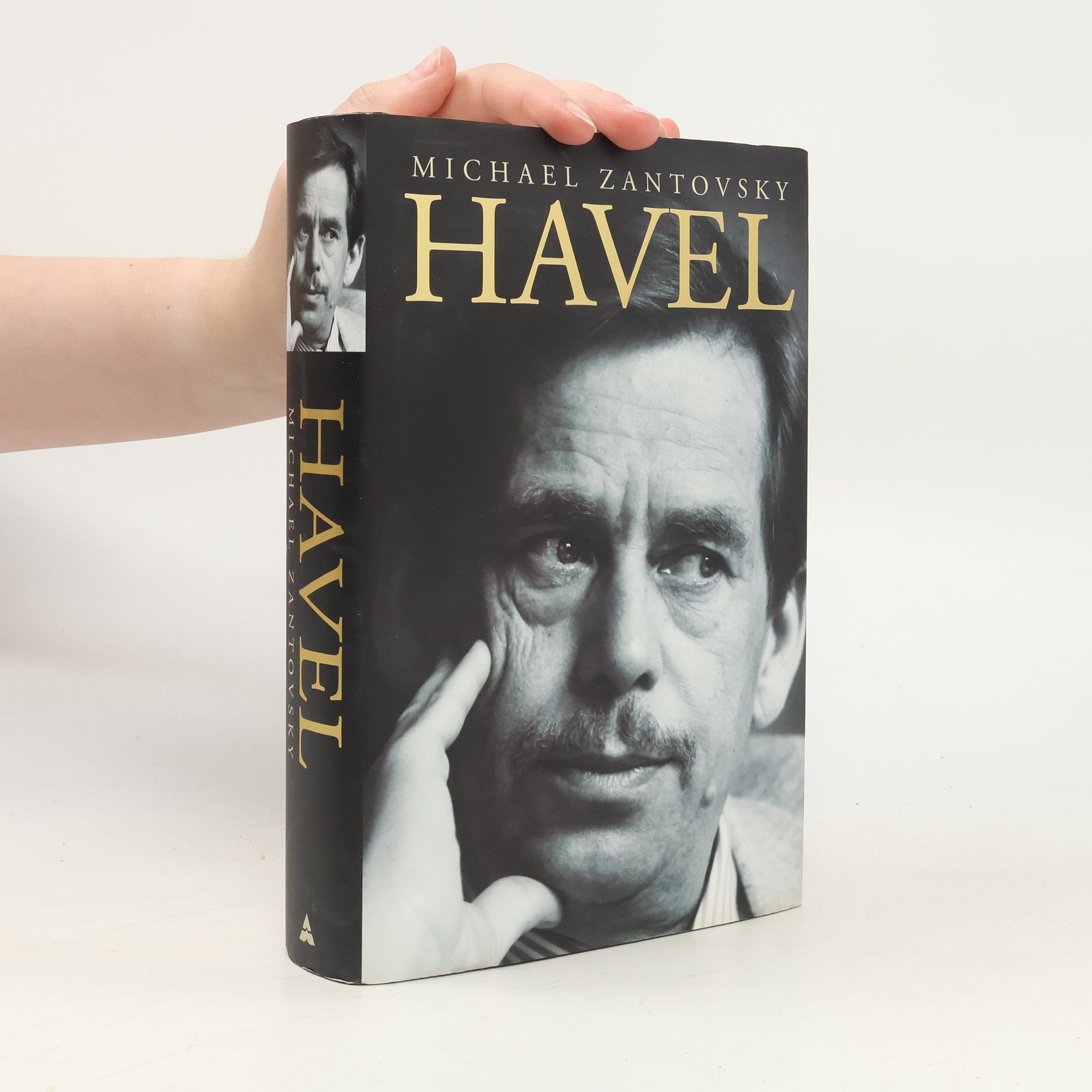 Michael Žantovský Havel