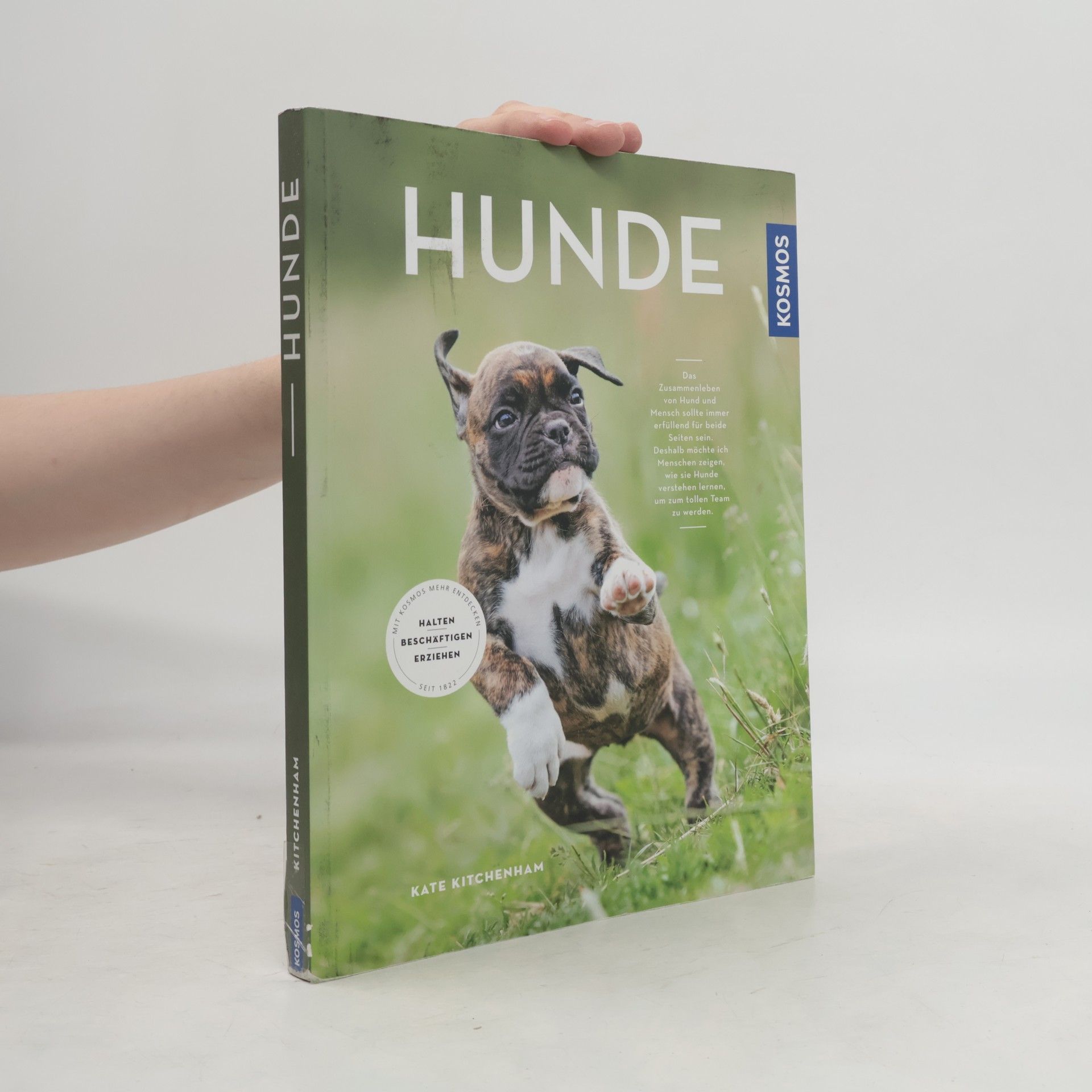 Kate Kitchenham Hunde