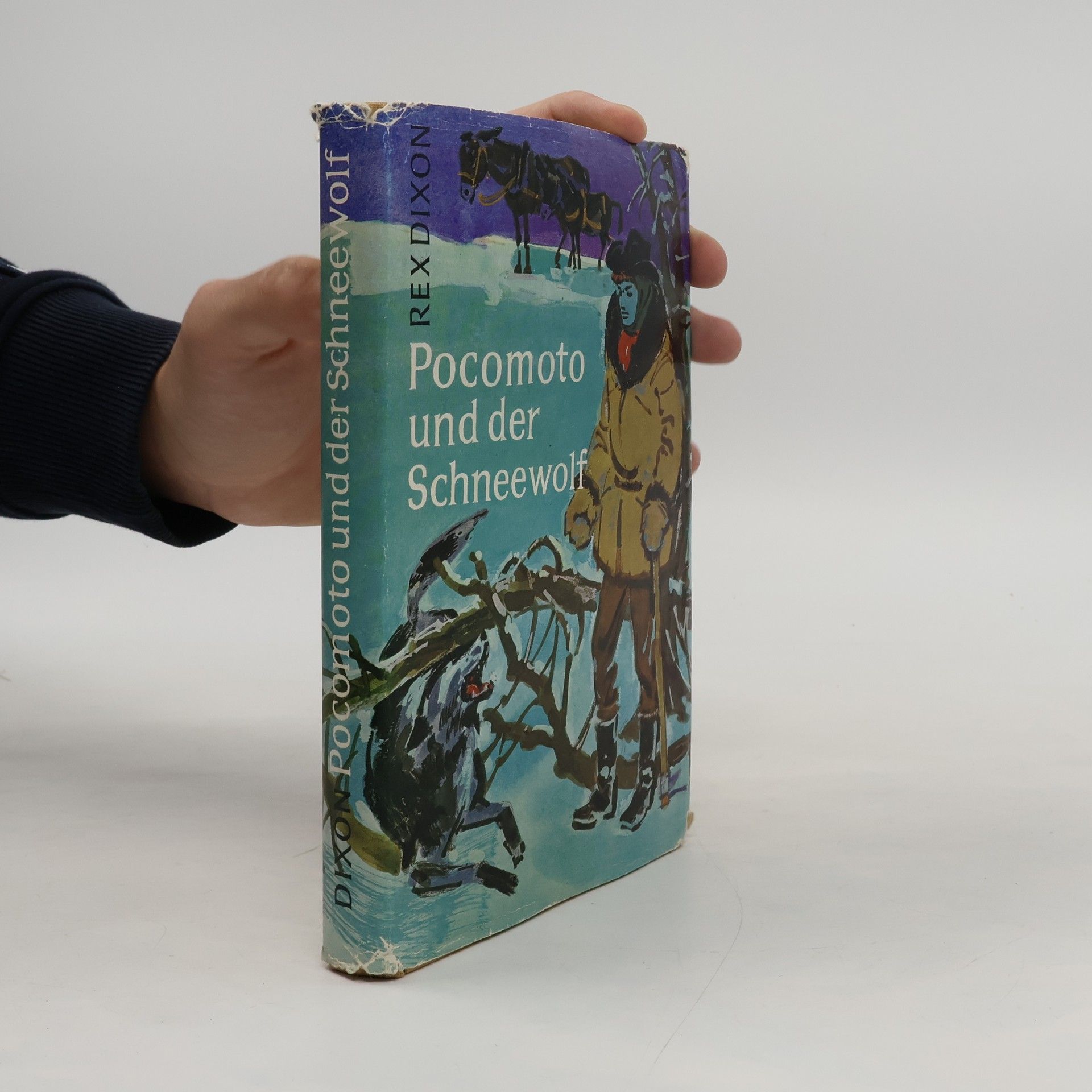 Rex Dixon Pocomoto und der Schneewolf