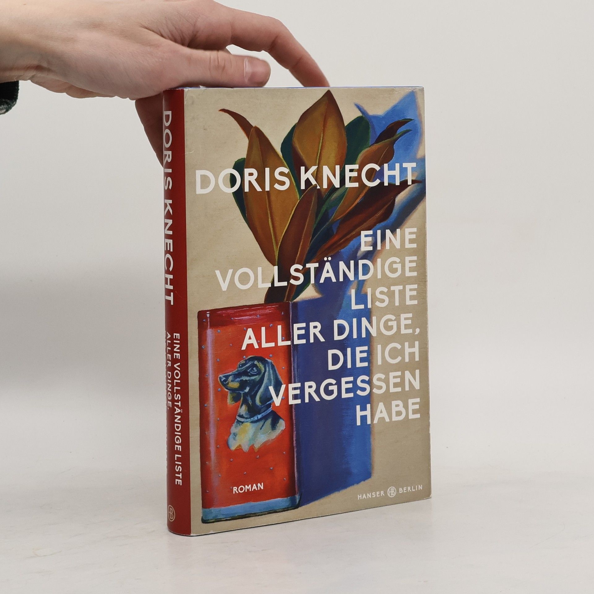 Doris Knecht Eine vollständige Liste aller Dinge, die ich vergessen habe