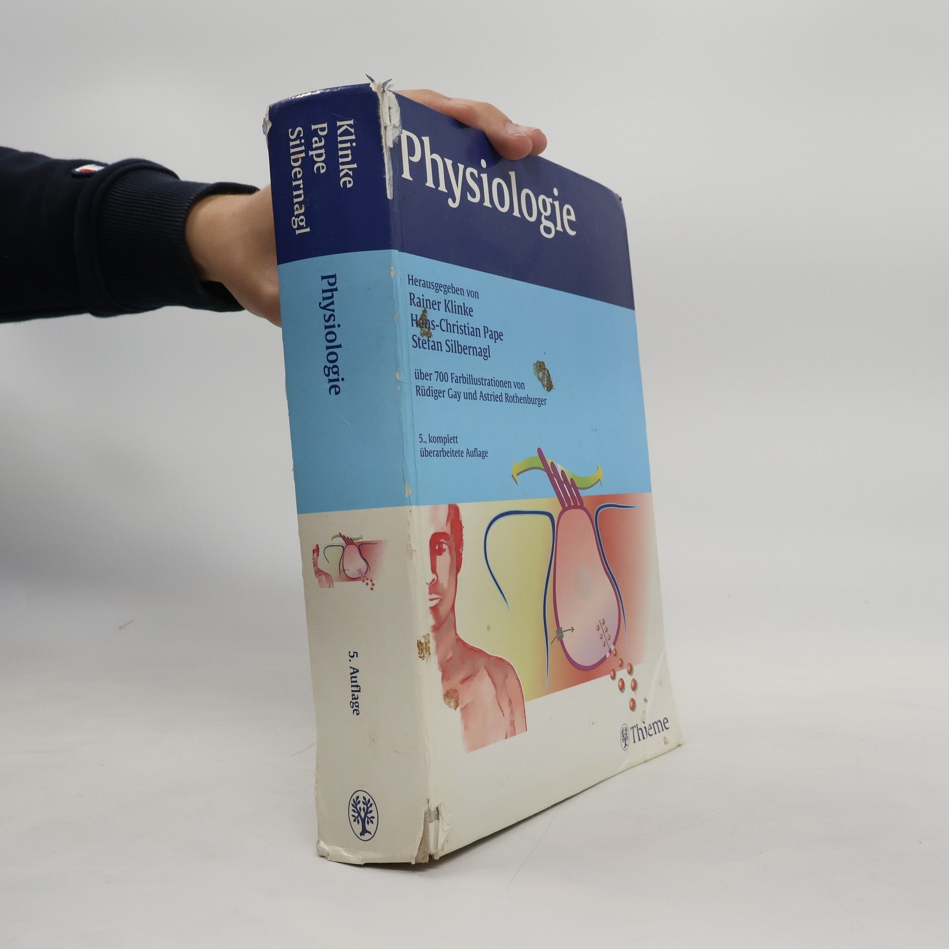 Rainer Klinke Physiologie