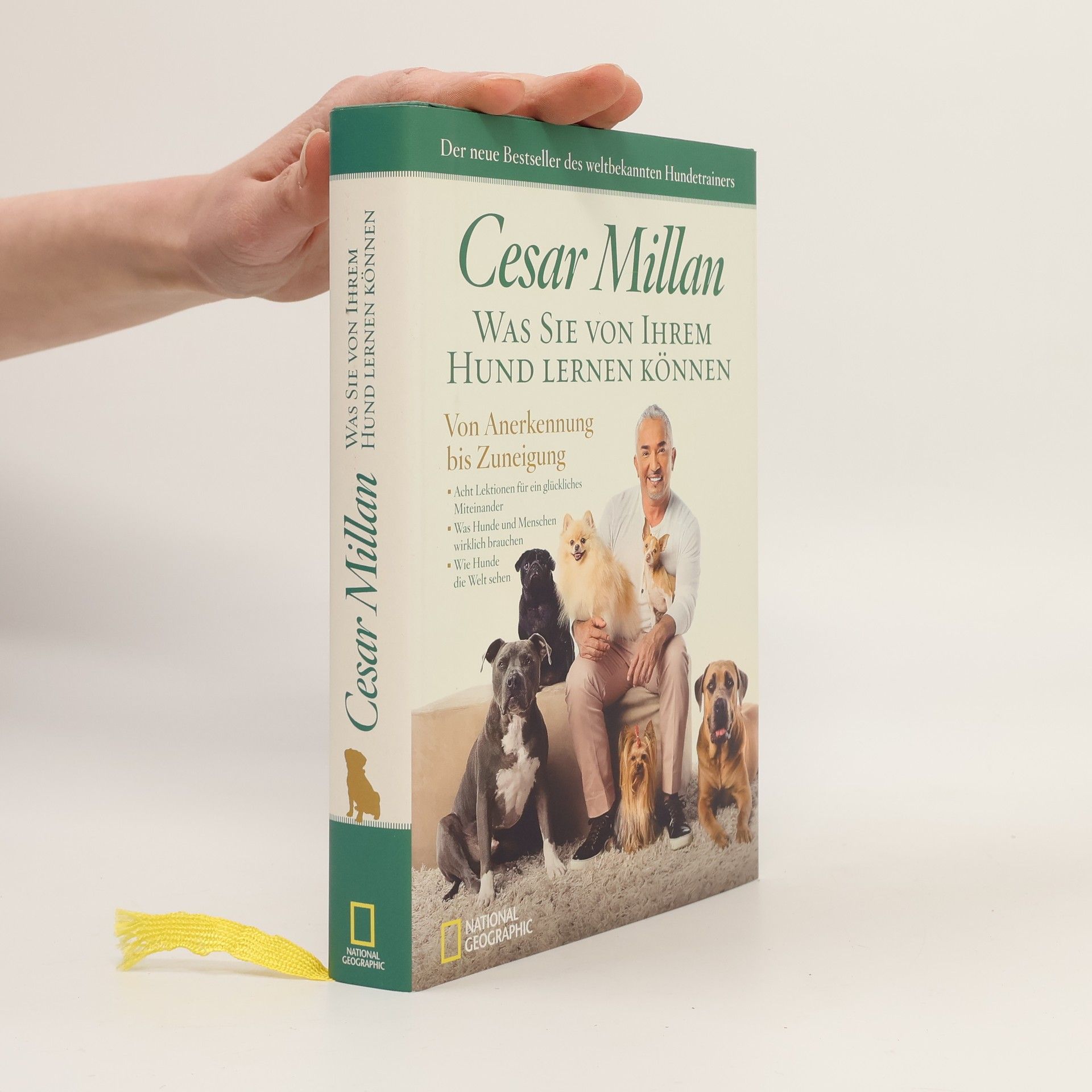 Cesar Millan Was Sie von Ihrem Hund lernen können