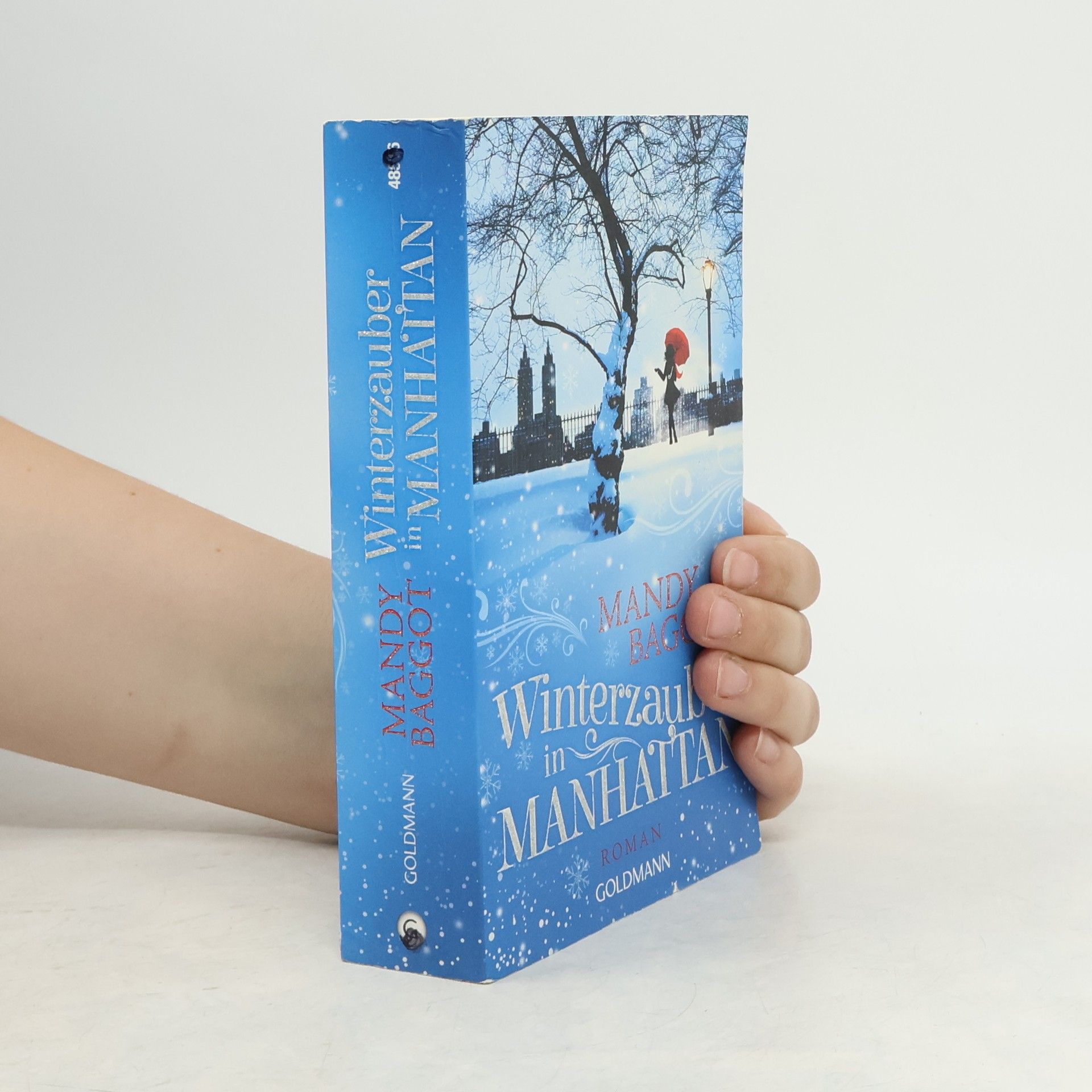 Mandy Baggot Winterzauber in Manhattan