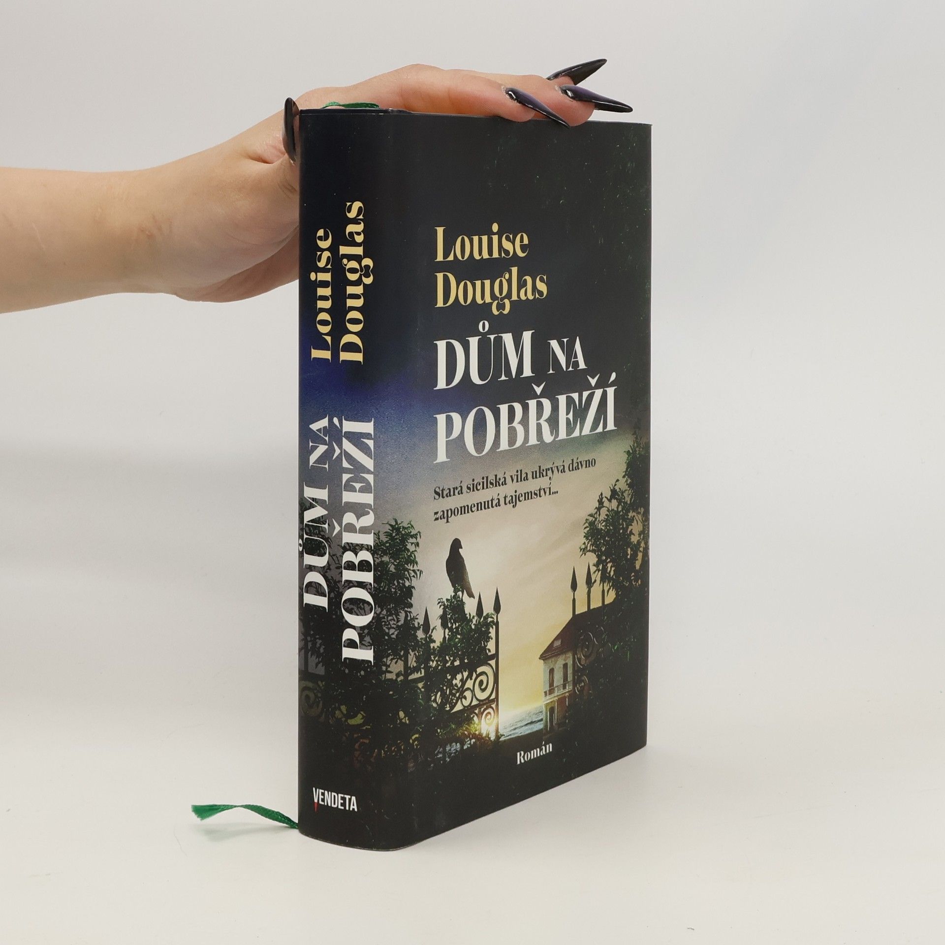 Pavla Koós Dům na pobřeží