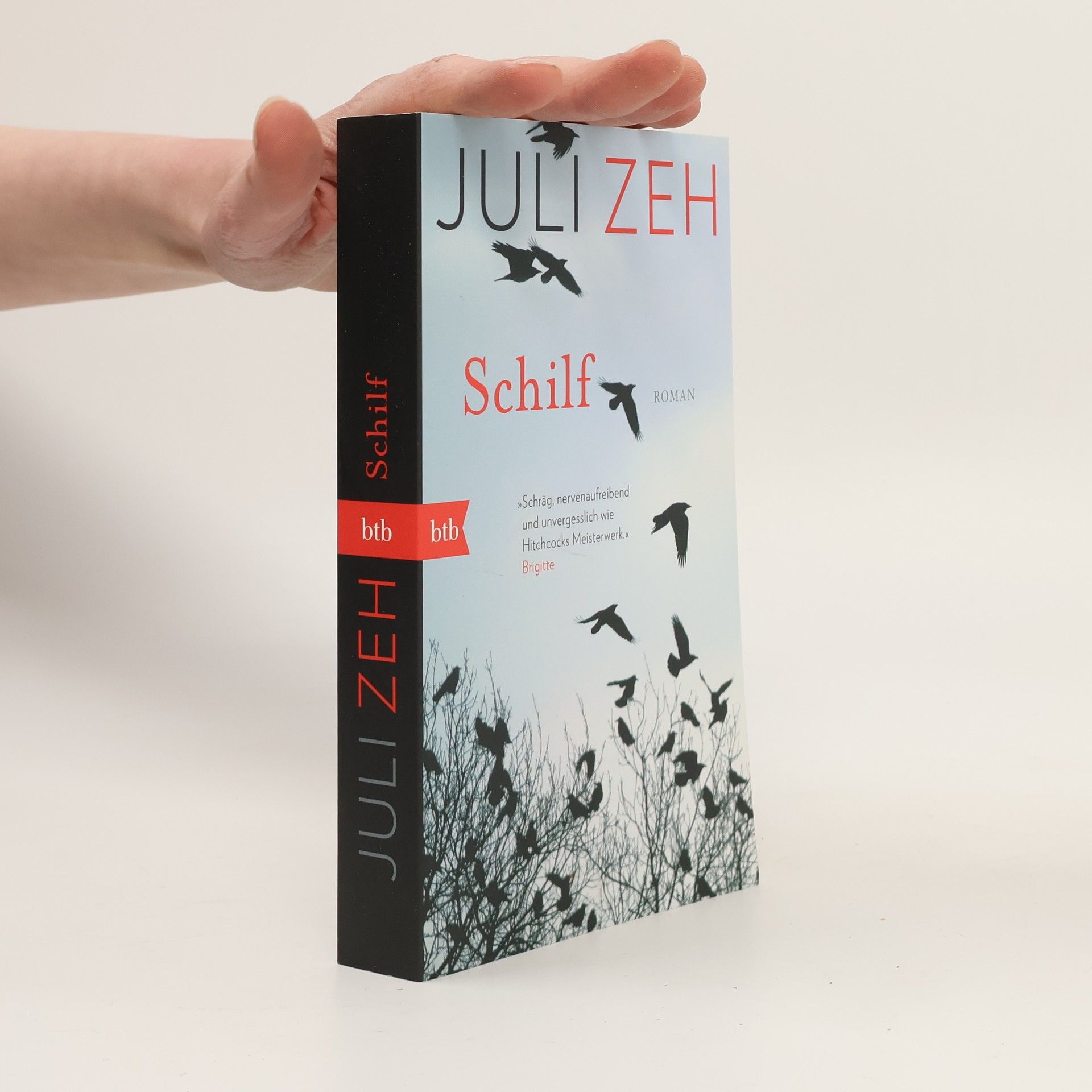 Juli Zeh Schilf